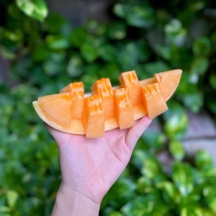 Dưa Lưới Vàng Tân Cương_thumbnail_3
