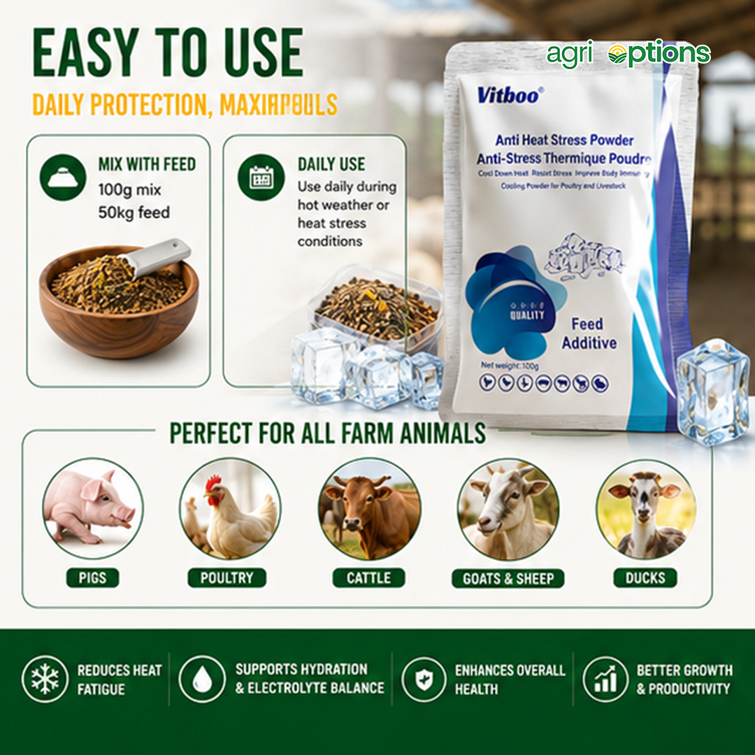 Vitboo Anti Heat Stress Powder_thumbnail_3