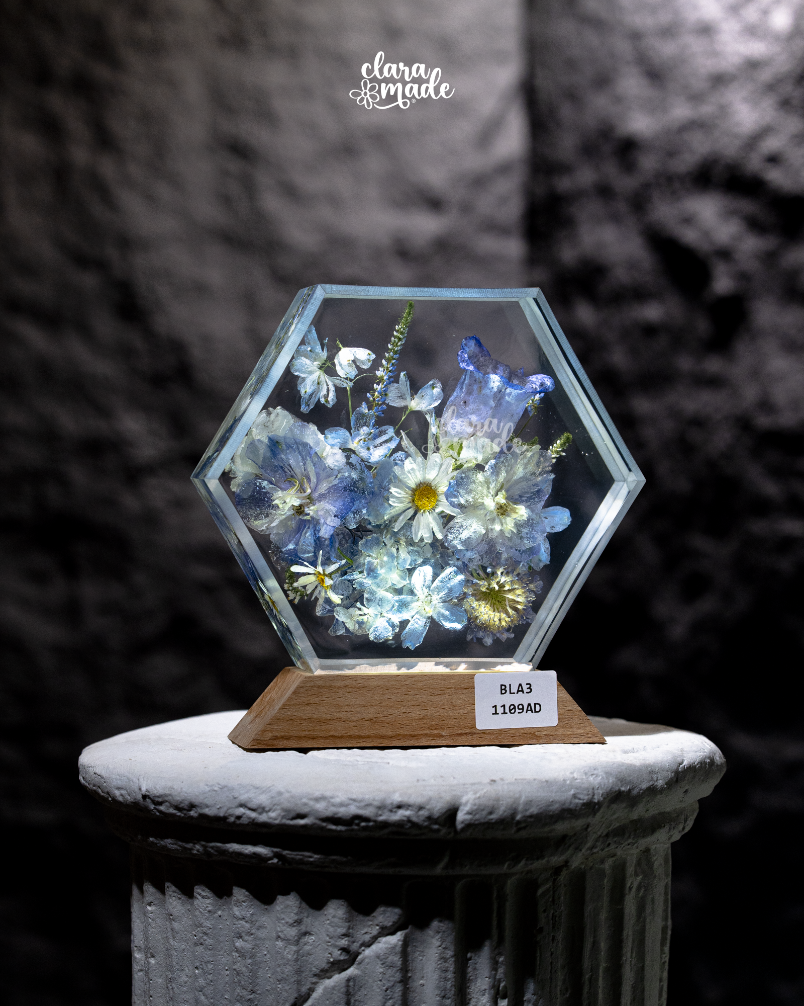 Đèn hoa khô Bloomlight Garden BLA31109AD