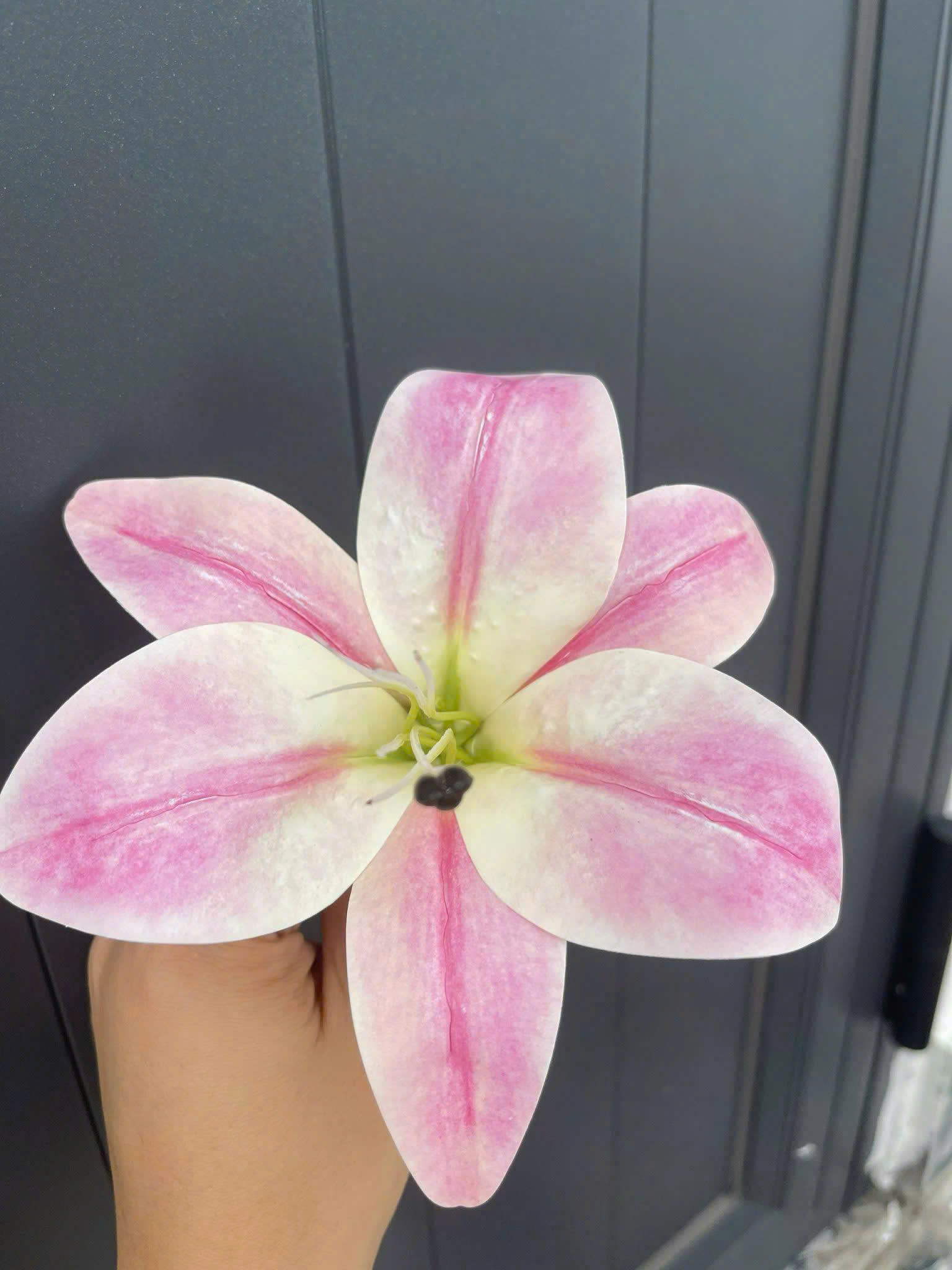 Bông ly hàng nhập 5,2K_thumbnail_3