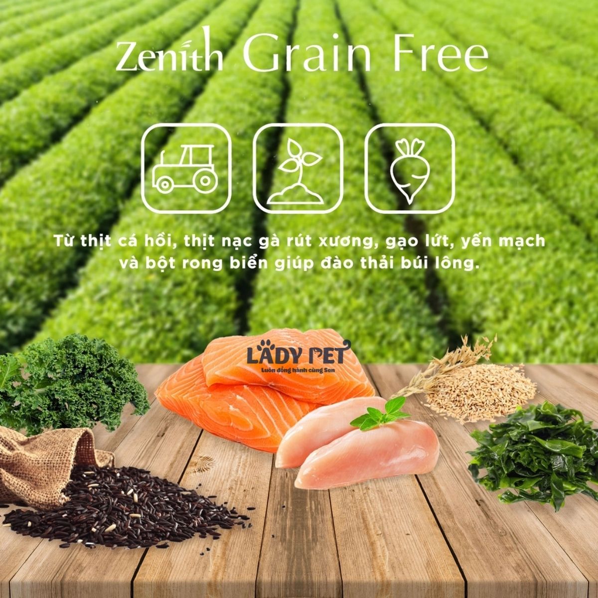 Hạt mềm zenith cho mèo_thumbnail_5