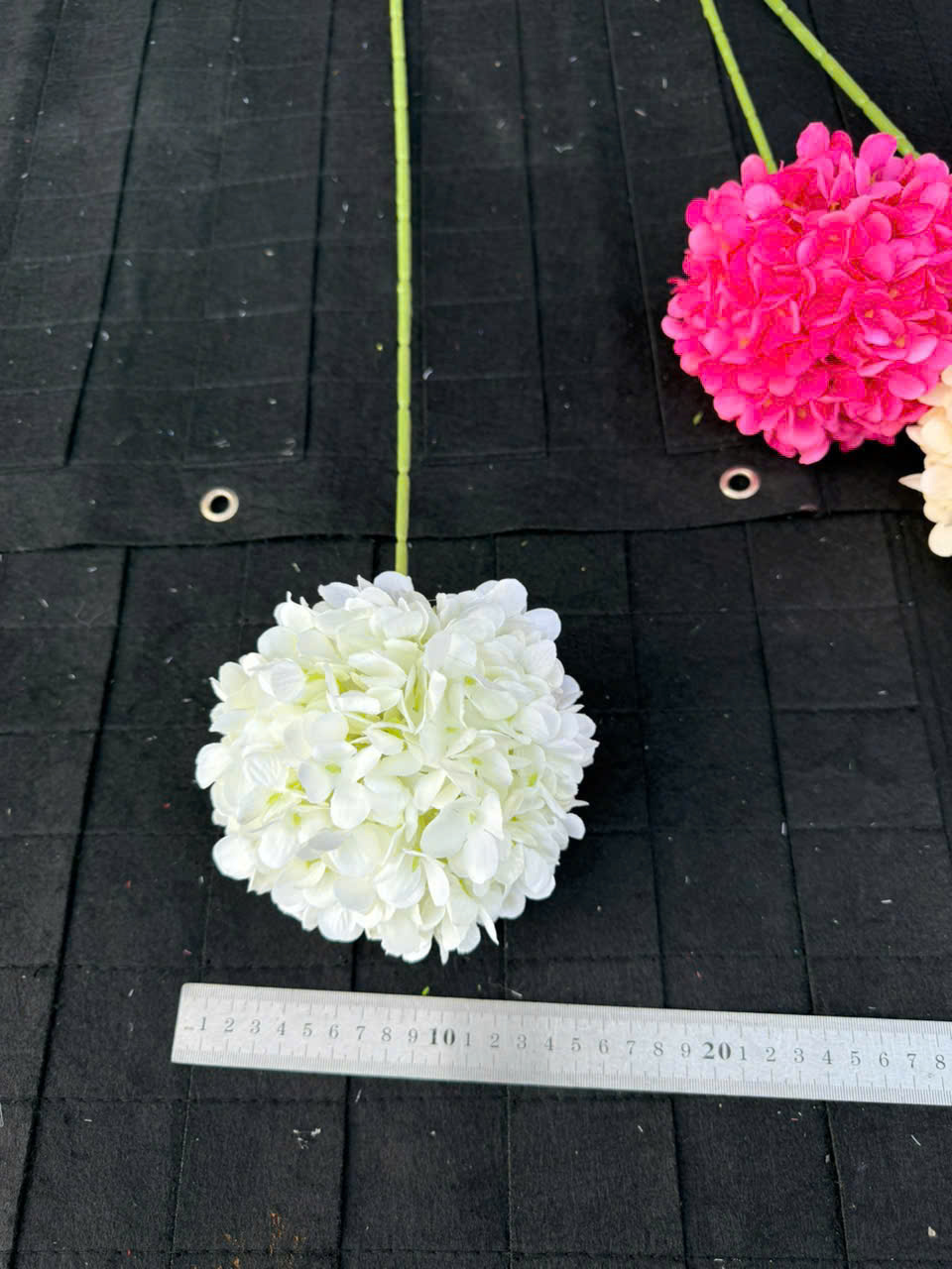 Hồng Tú cầu giá 19k ak