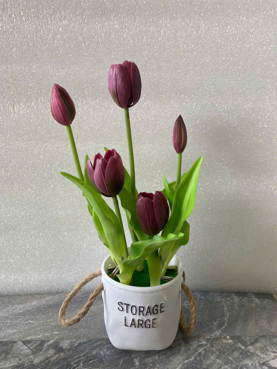 CHẬU TULIP 90K_thumbnail_9
