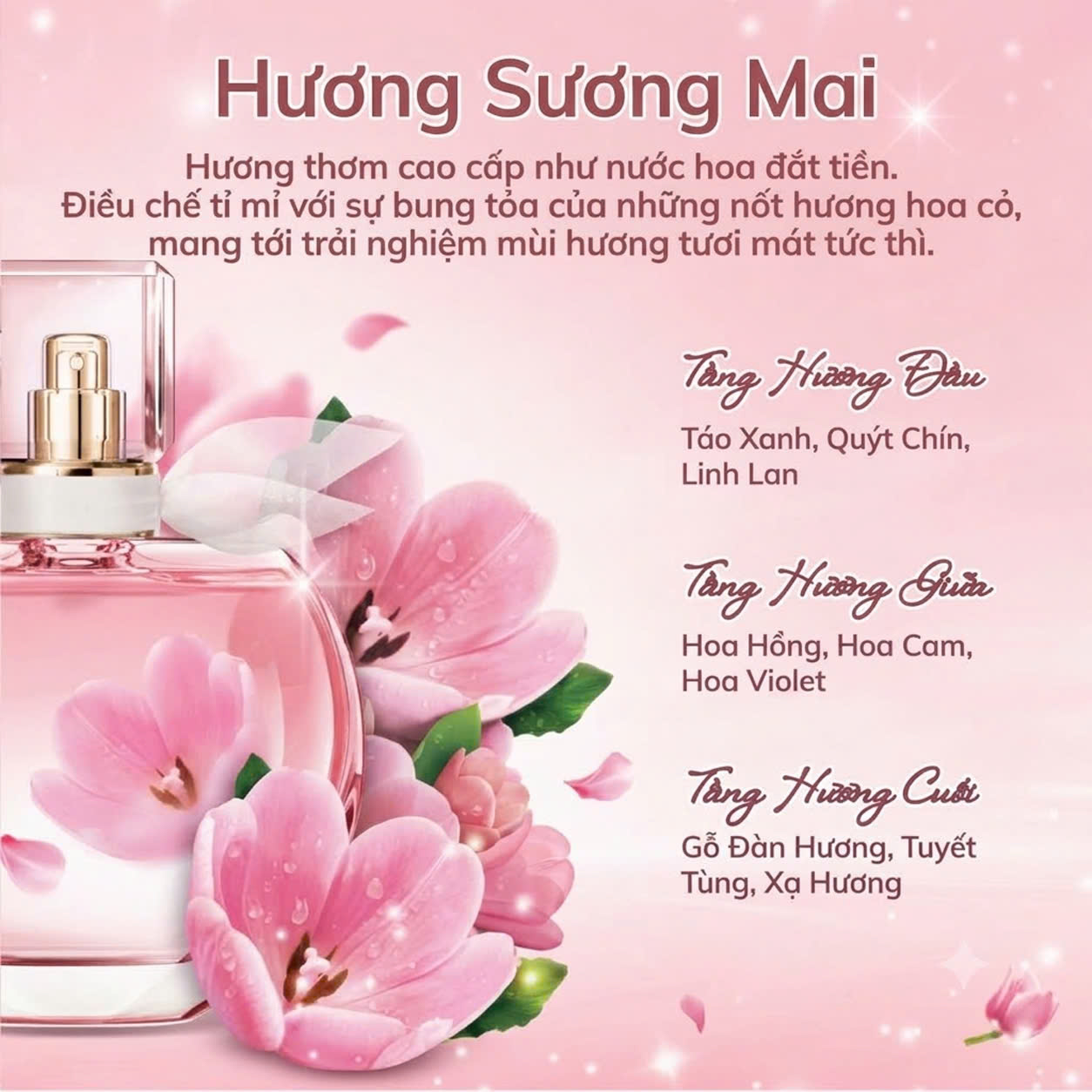 NƯỚC GIẶT LE FRACHIE 3.8L_thumbnail_6