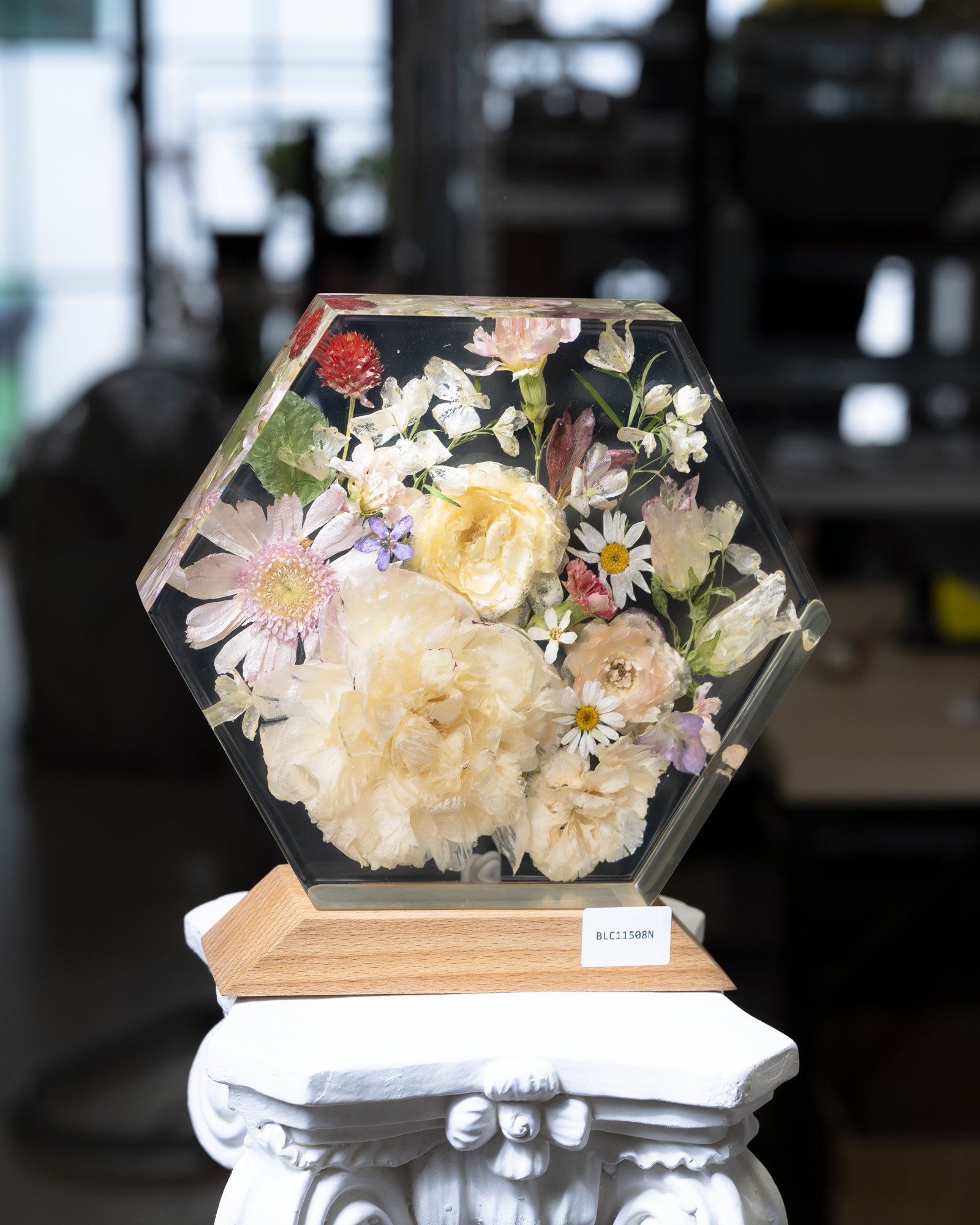Đèn hoa khô Bloomlight BLC11508N