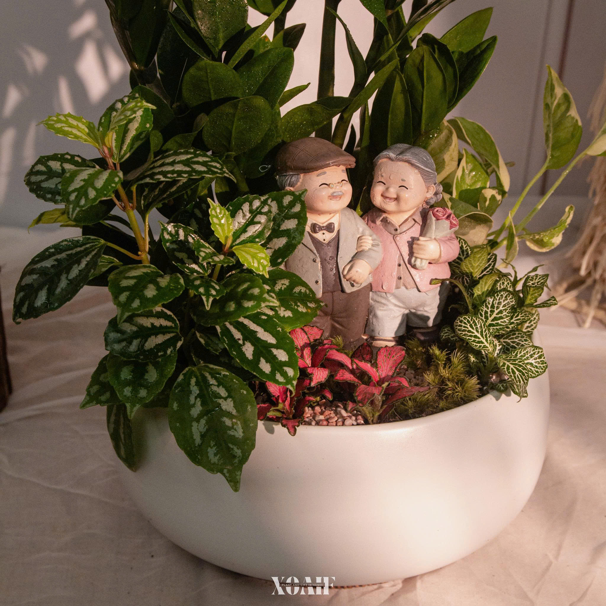 SET MIX KIM TIỀN TƯỢNG ÔNG BÀ 