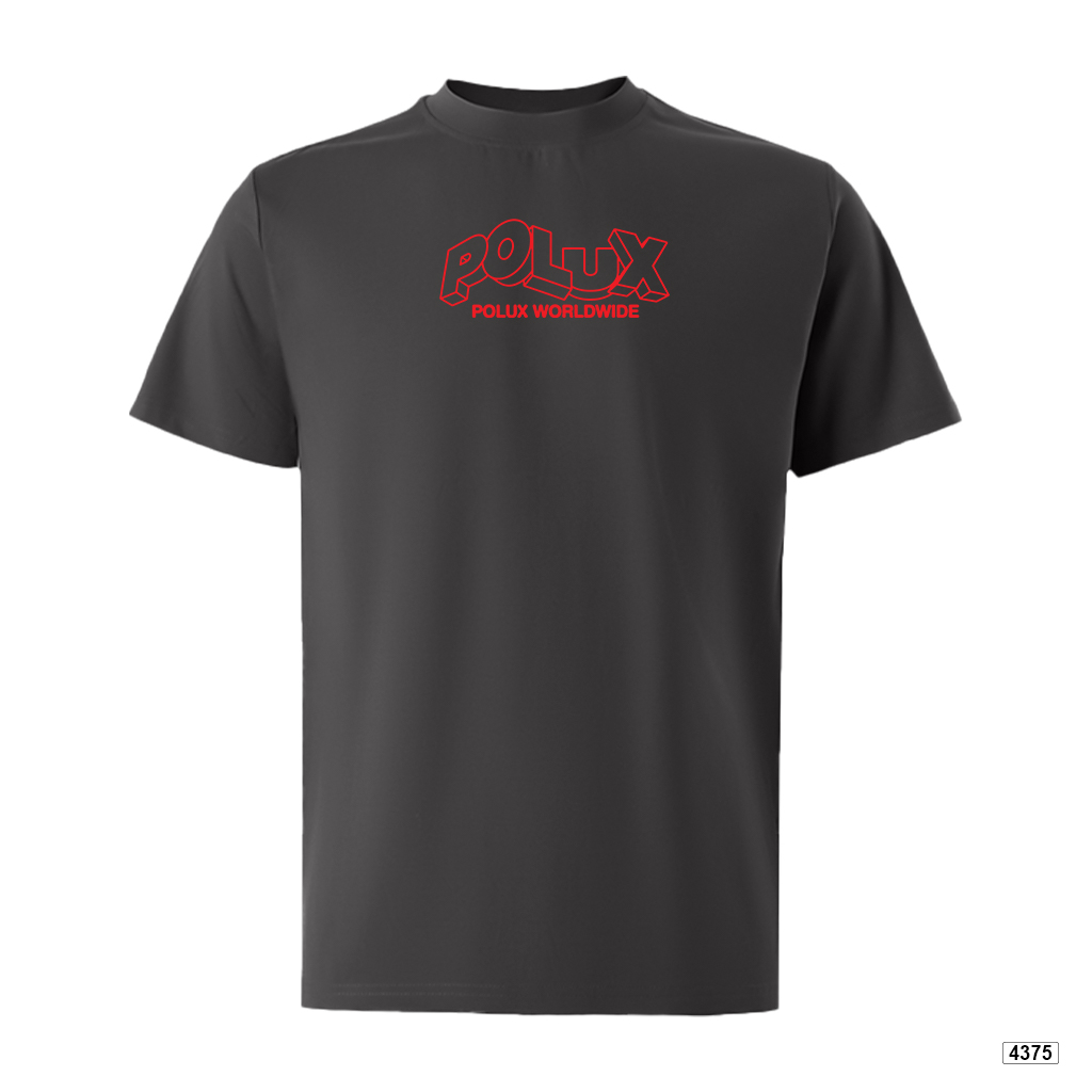 Áo thun nam worldwide logo form rộng Polux 4375_thumbnail_11