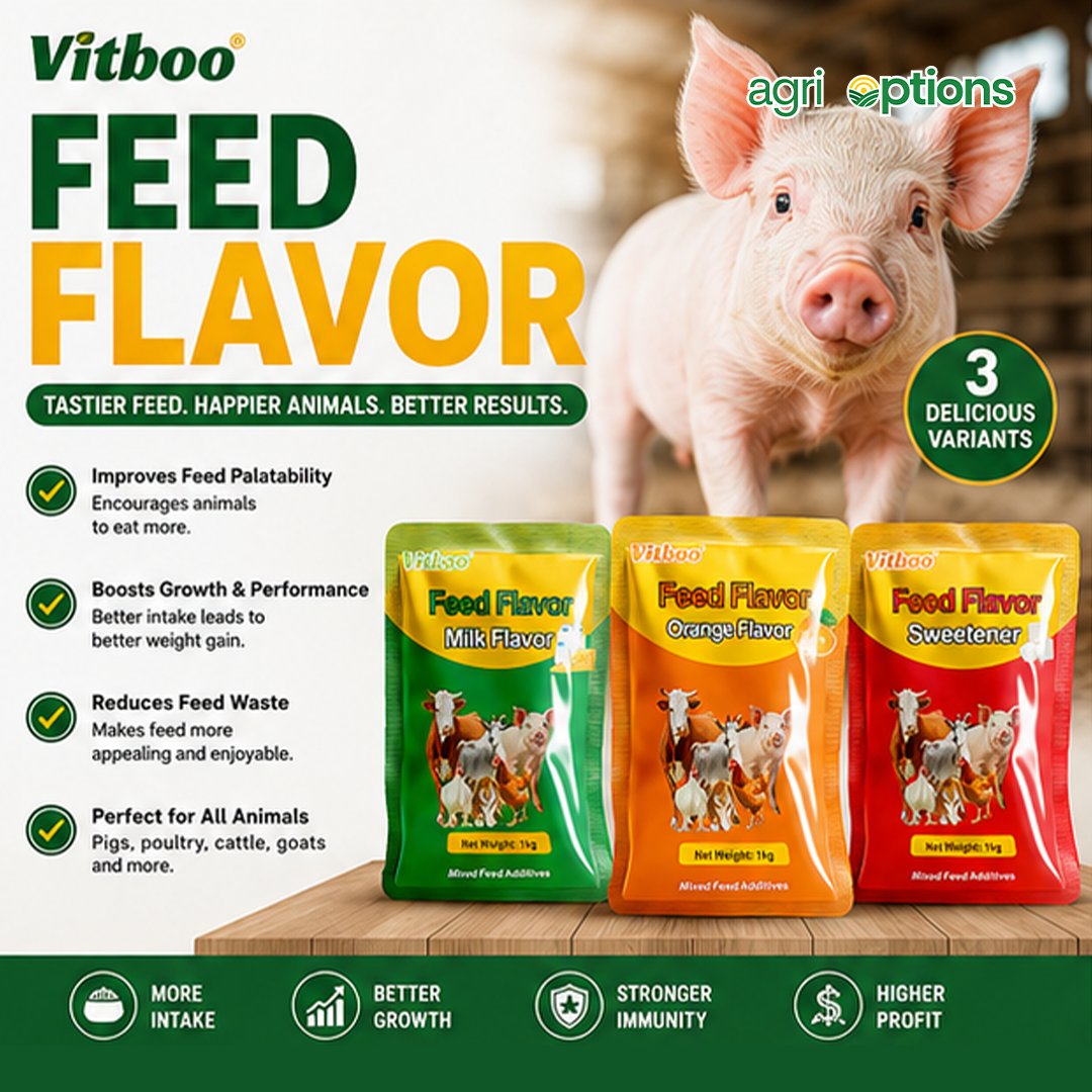 Vitboo Feed Flavor - Milk Flavor_thumbnail_1