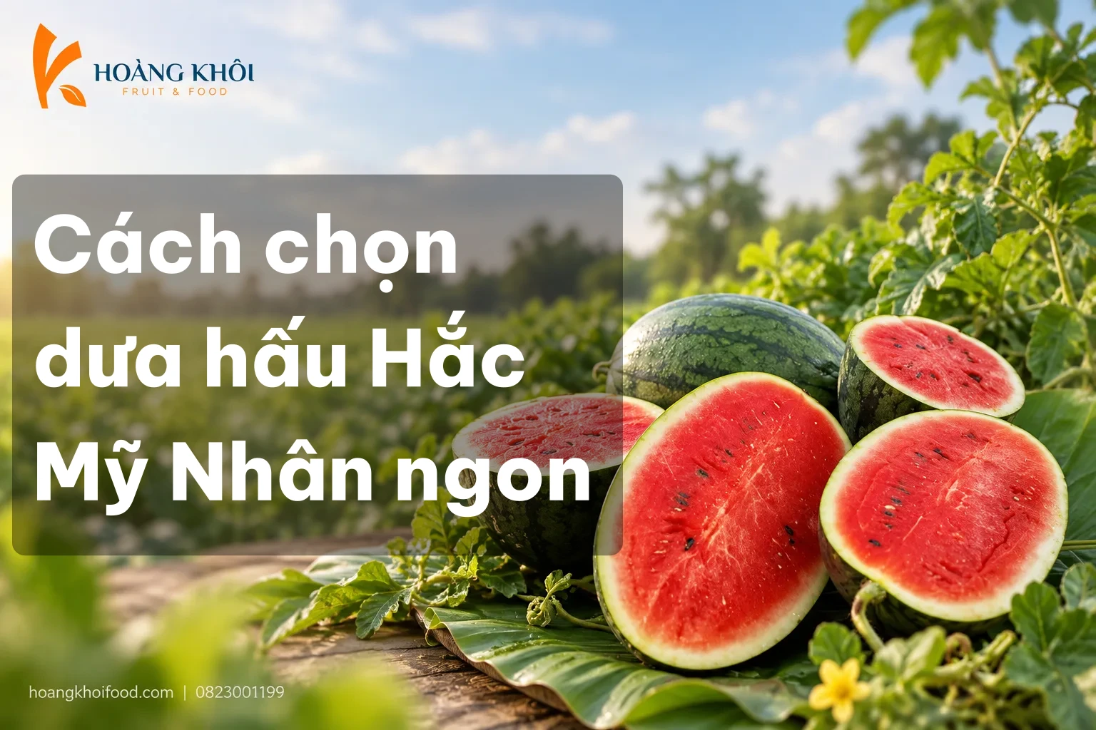 Cách chọn dưa hấu Hắc Mỹ Nhân ngon