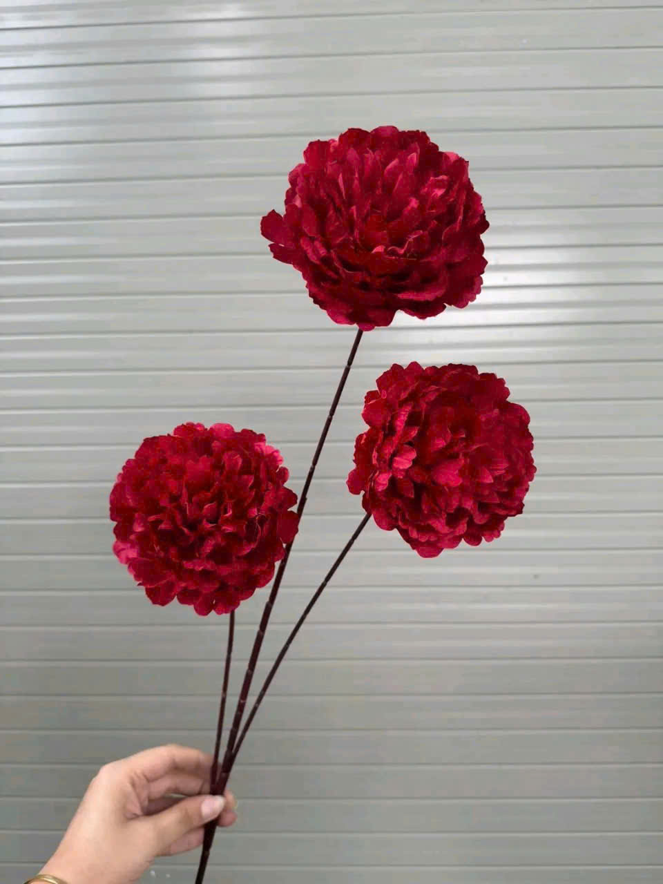 MẪU ĐƠN CÀNH CAO 11K_thumbnail_3