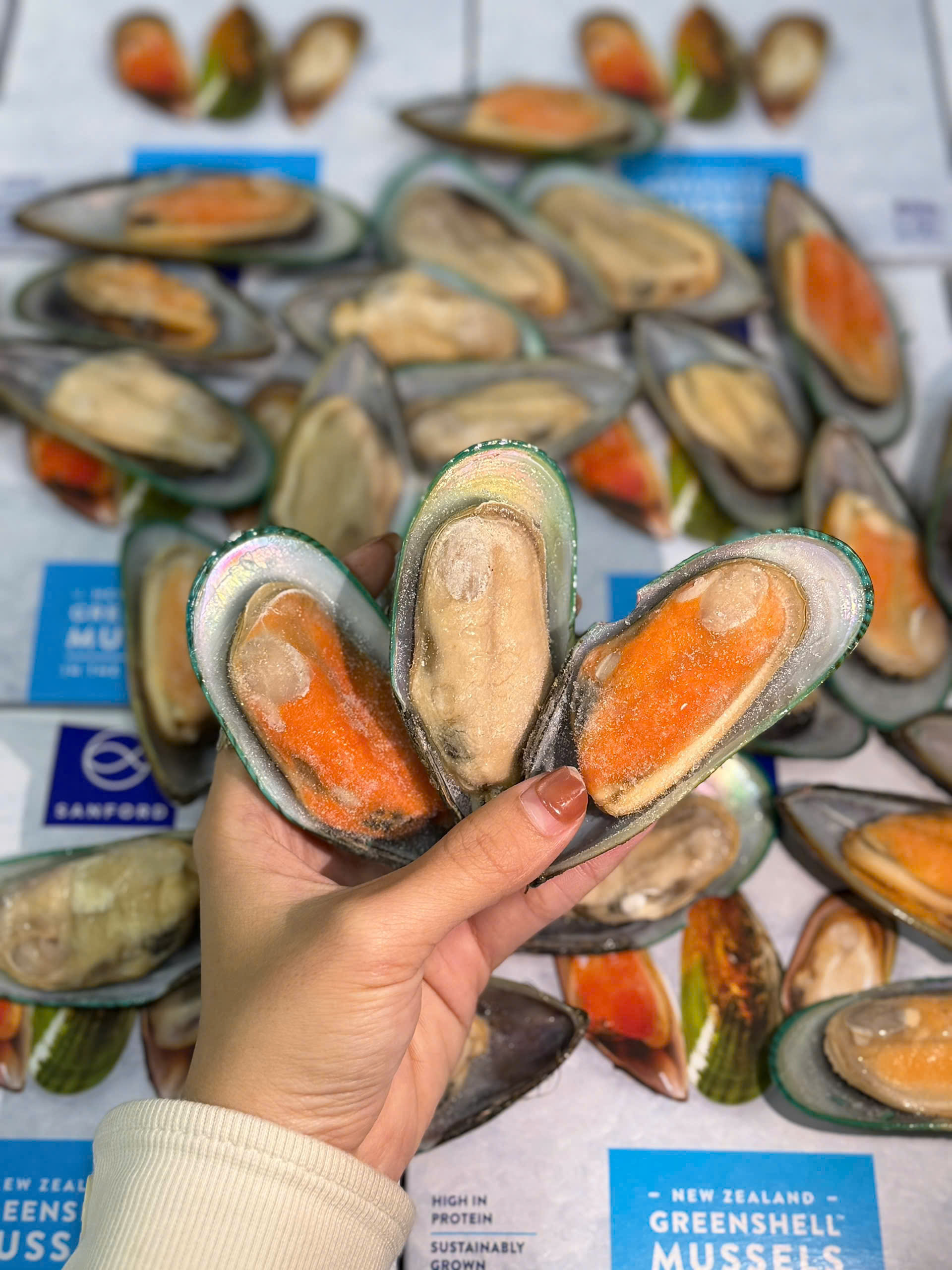 vẹm xanh New Zealand