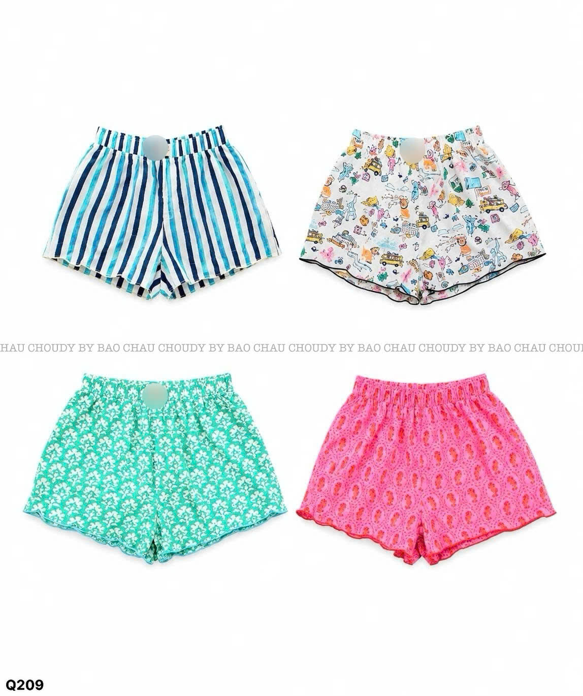 Q209_thumbnail_1