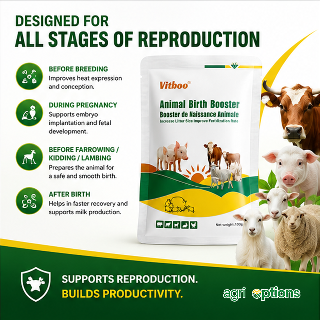 Animal Birth Booster_thumbnail_5
