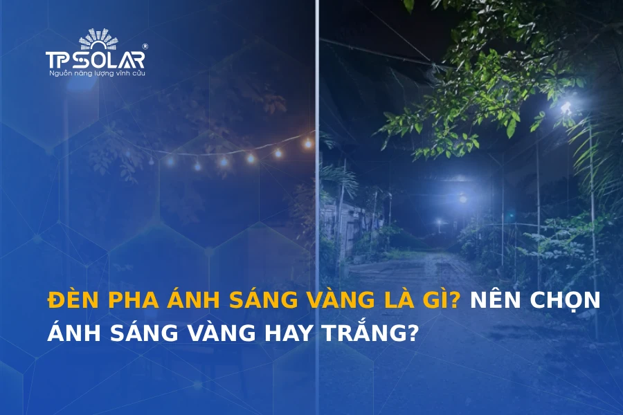 Đèn pha ánh sáng vàng là gì? Nên chọn ánh sáng vàng hay trắng?