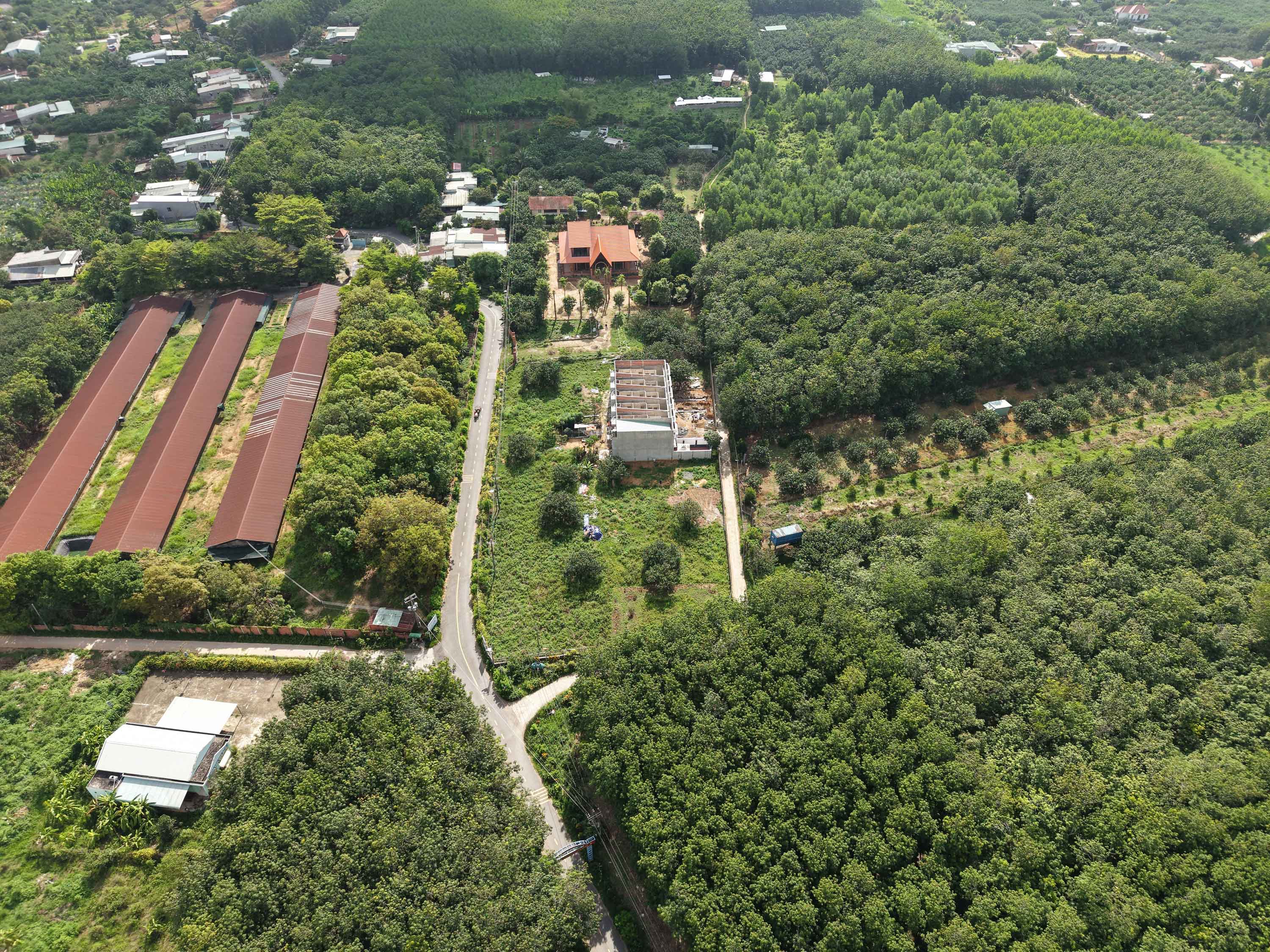 DJI_20260629084928_0009_D
