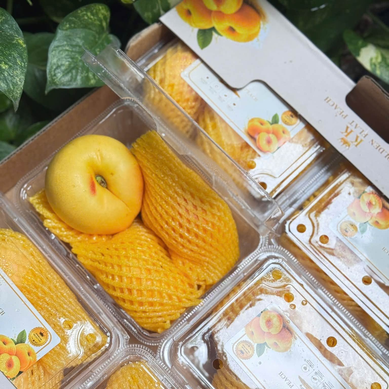 Đào Dẹt Bánh Rán_thumbnail_3