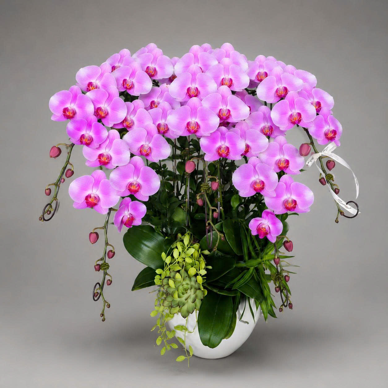 🌸 Chậu Lan Hồ Điệp 5 Cành Hồng Phấn Sang Trọng – Điểm Nhấn Đẳng Cấp Cho Không Gian Sống