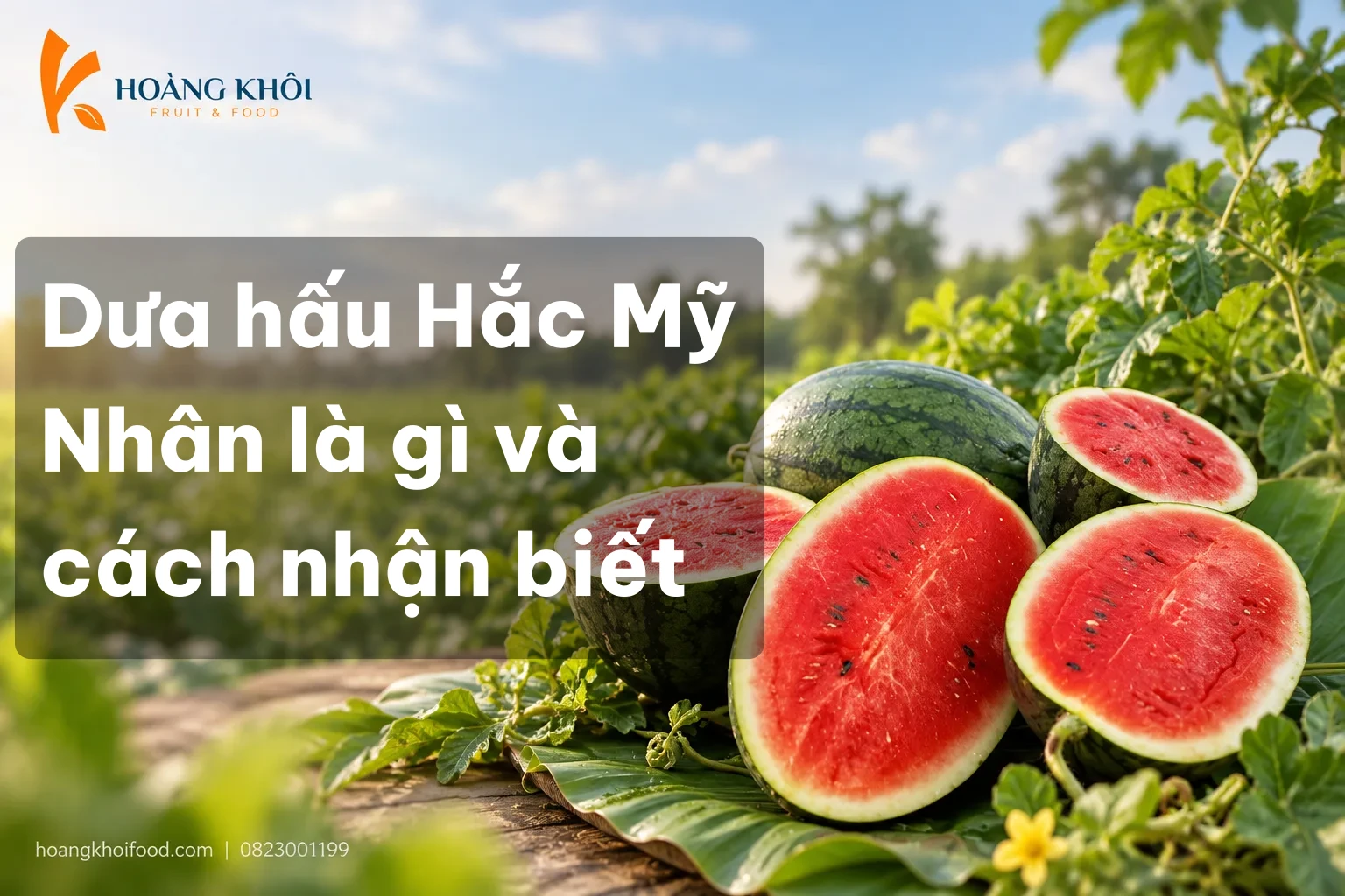 Dưa hấu Hắc Mỹ Nhân là gì và cách nhận biết