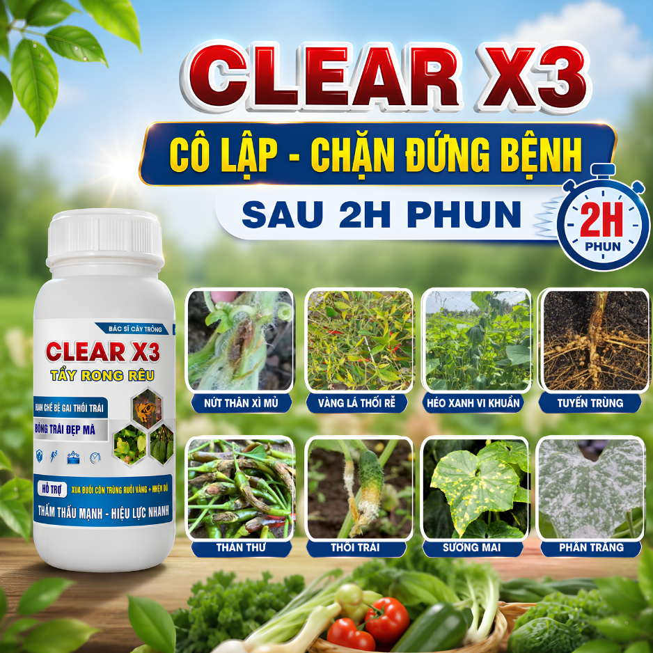 CLEAR X3_thumbnail_2
