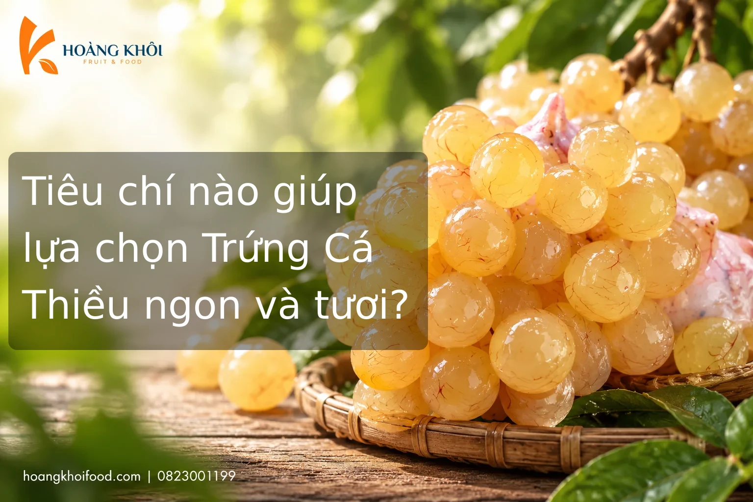 Tiêu chí nào giúp lựa chọn Trứng Cá Thiều ngon và tươi?