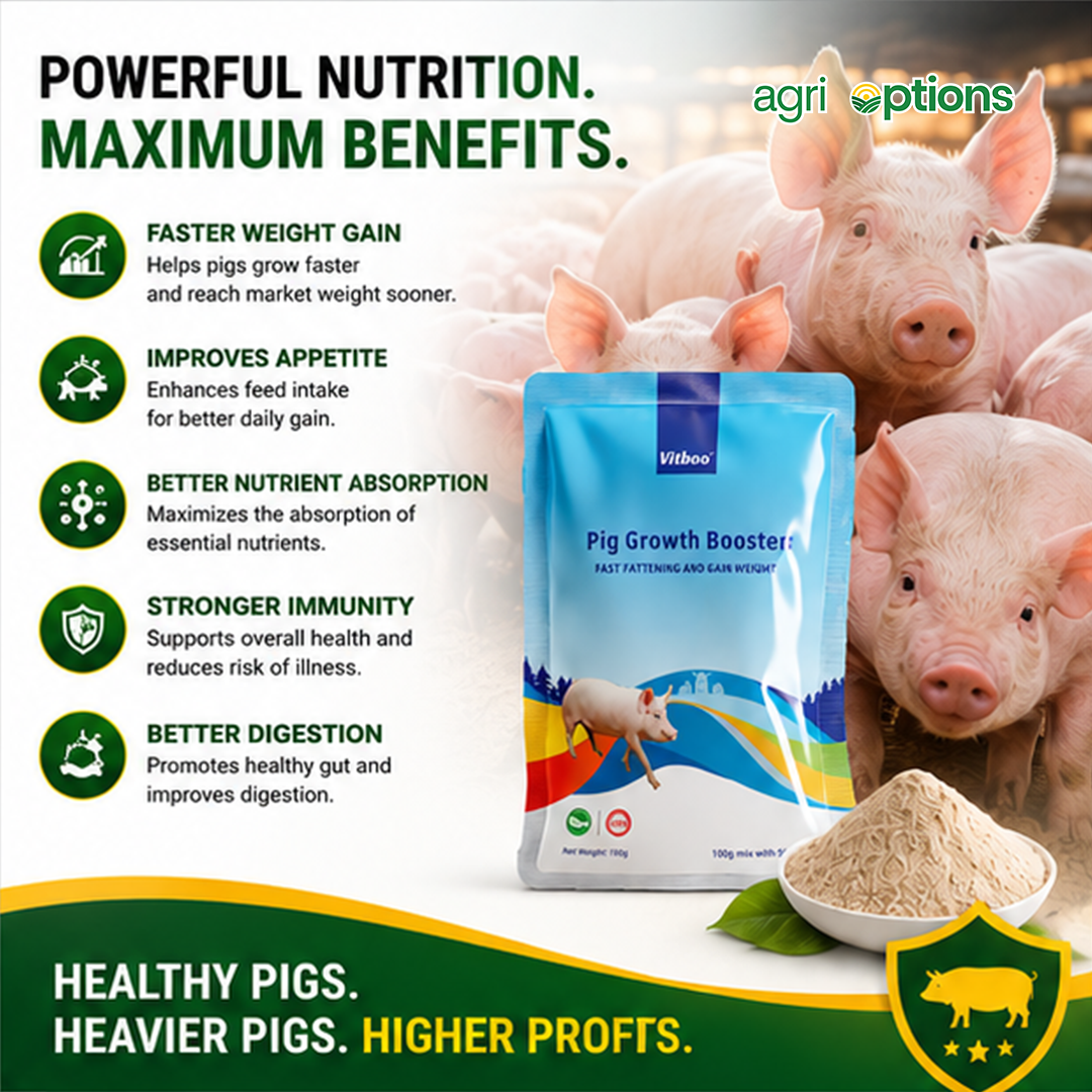 Vitboo Pig Growth Booster_thumbnail_9