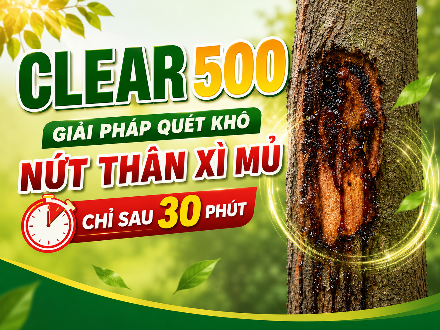 CLEAR 500 – Giải Pháp Quét Khô Nứt Thân Xì Mủ Chỉ Sau 30 Phút