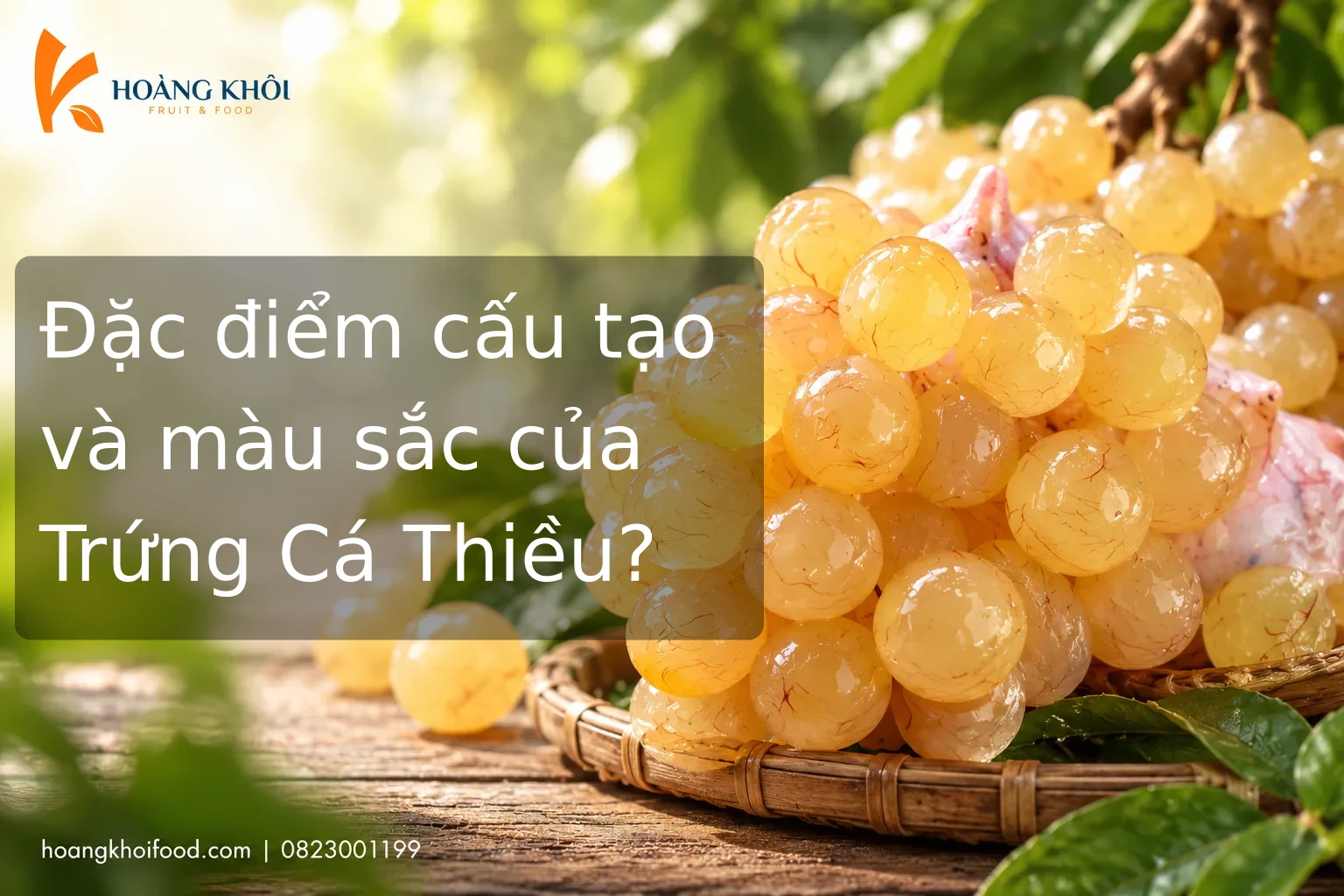 Đặc điểm cấu tạo và màu sắc của Trứng Cá Thiều?