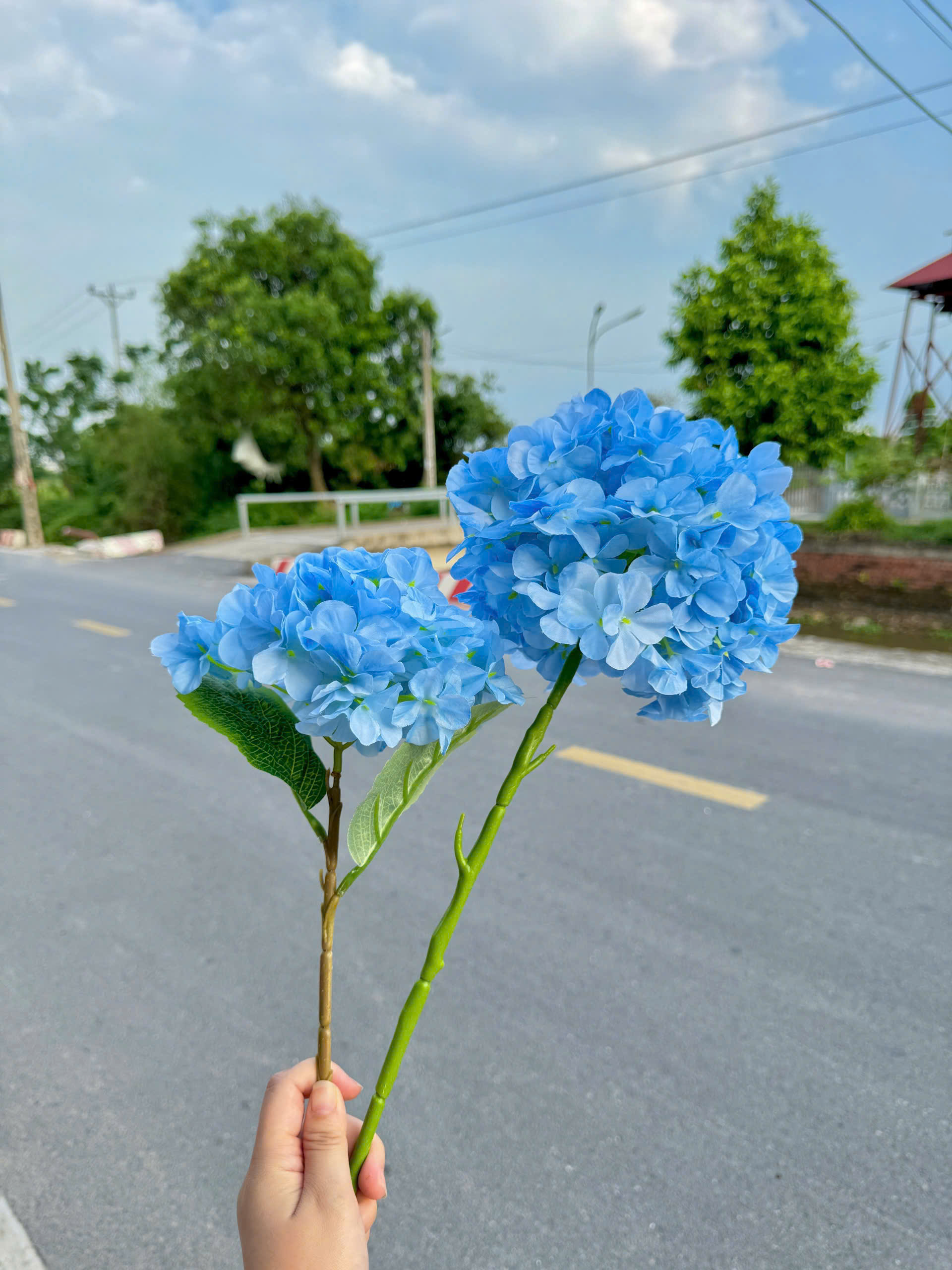 TÚ CẦU LIỀN CỔ 19K_thumbnail_2