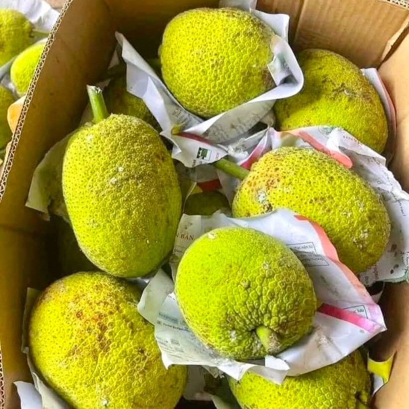 Trái Sake Tươi_thumbnail_3