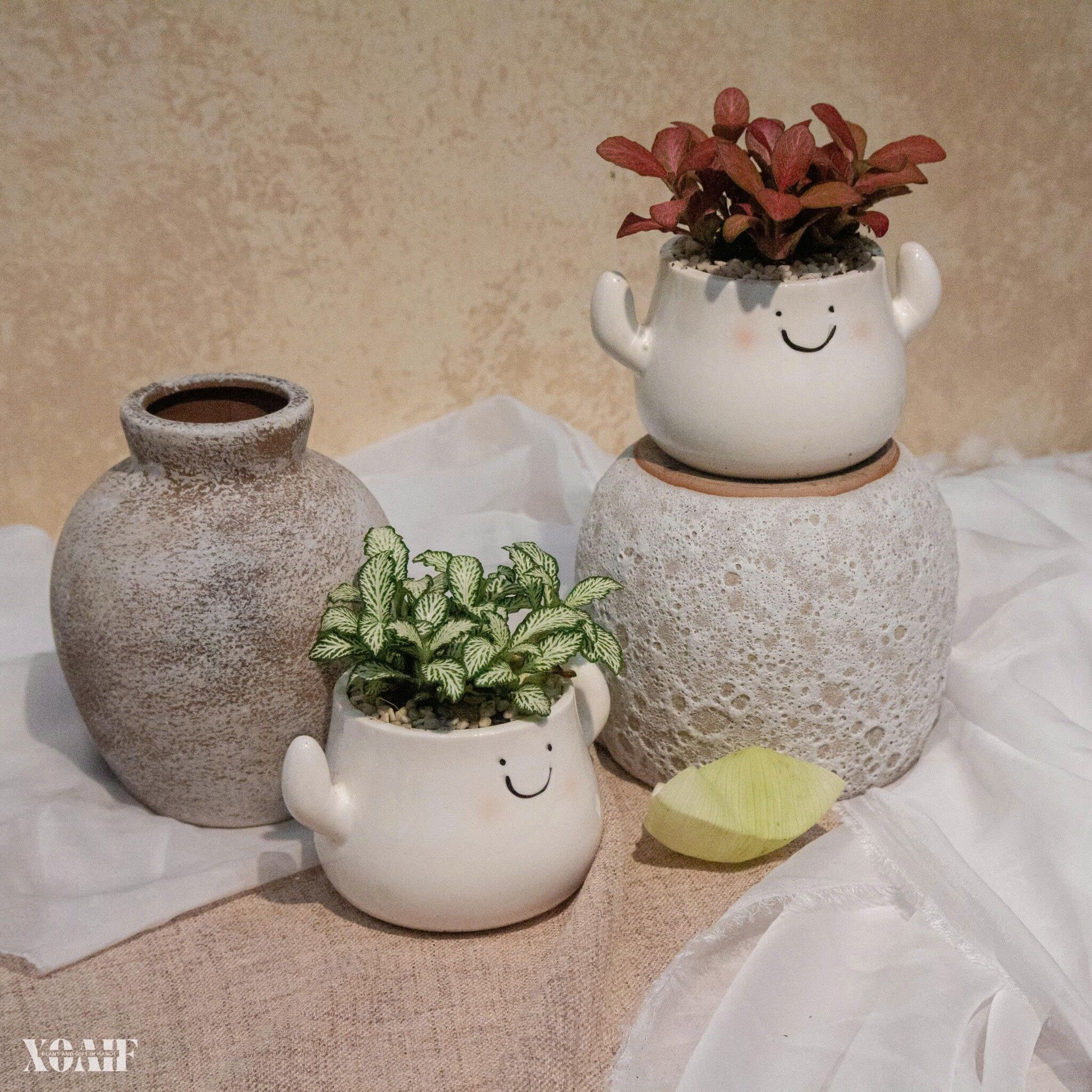 SET CẨM NHUNG CHẬU SỨ MẶT CƯỜI