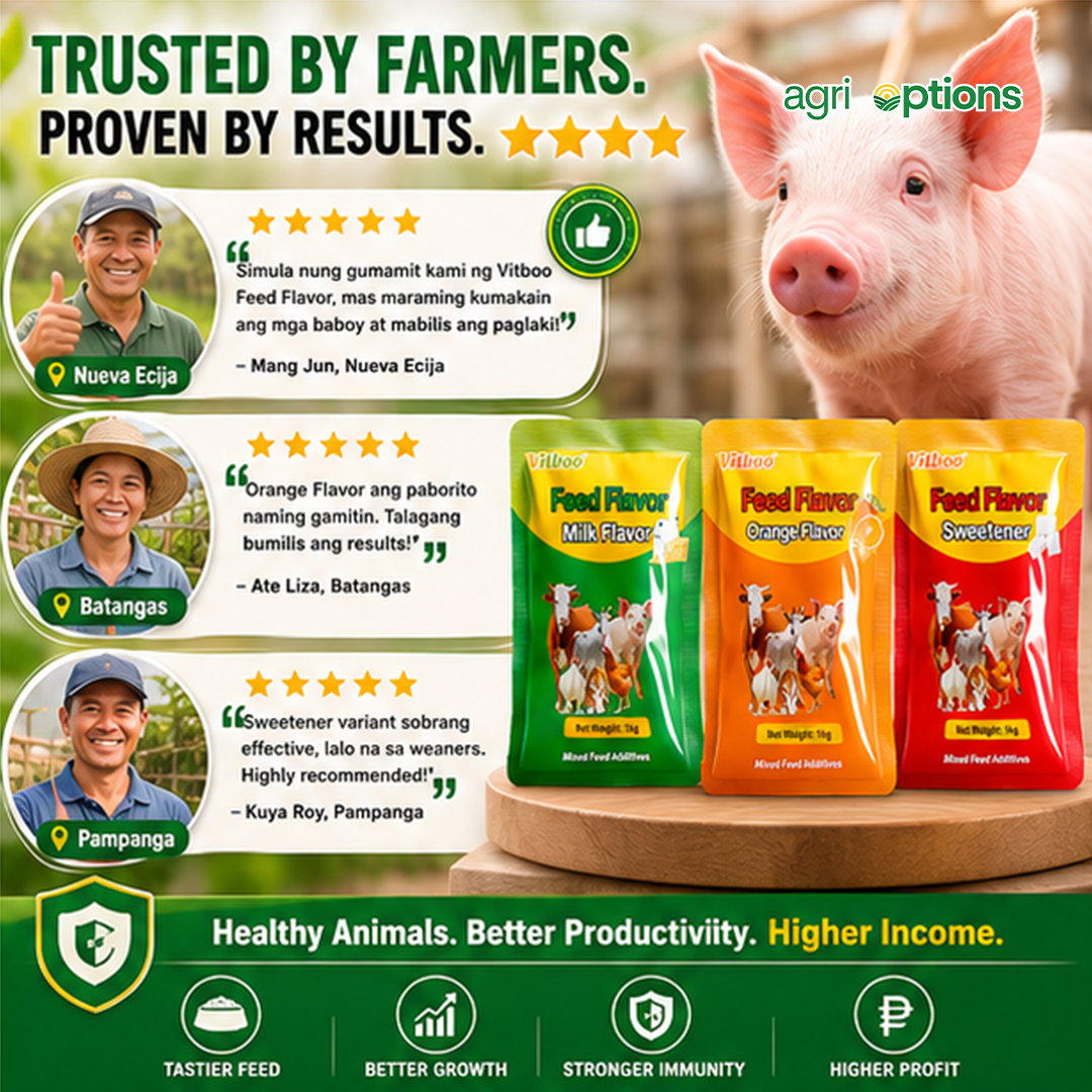 Vitboo Feed Flavor - Milk Flavor_thumbnail_7