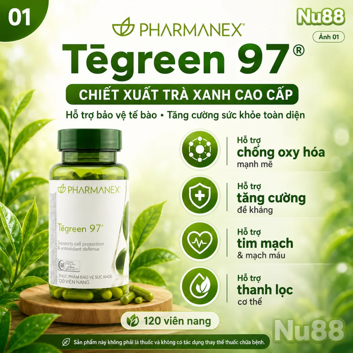 Thực phẩm bảo vệ sức khỏe Tegreen 97_thumbnail_3