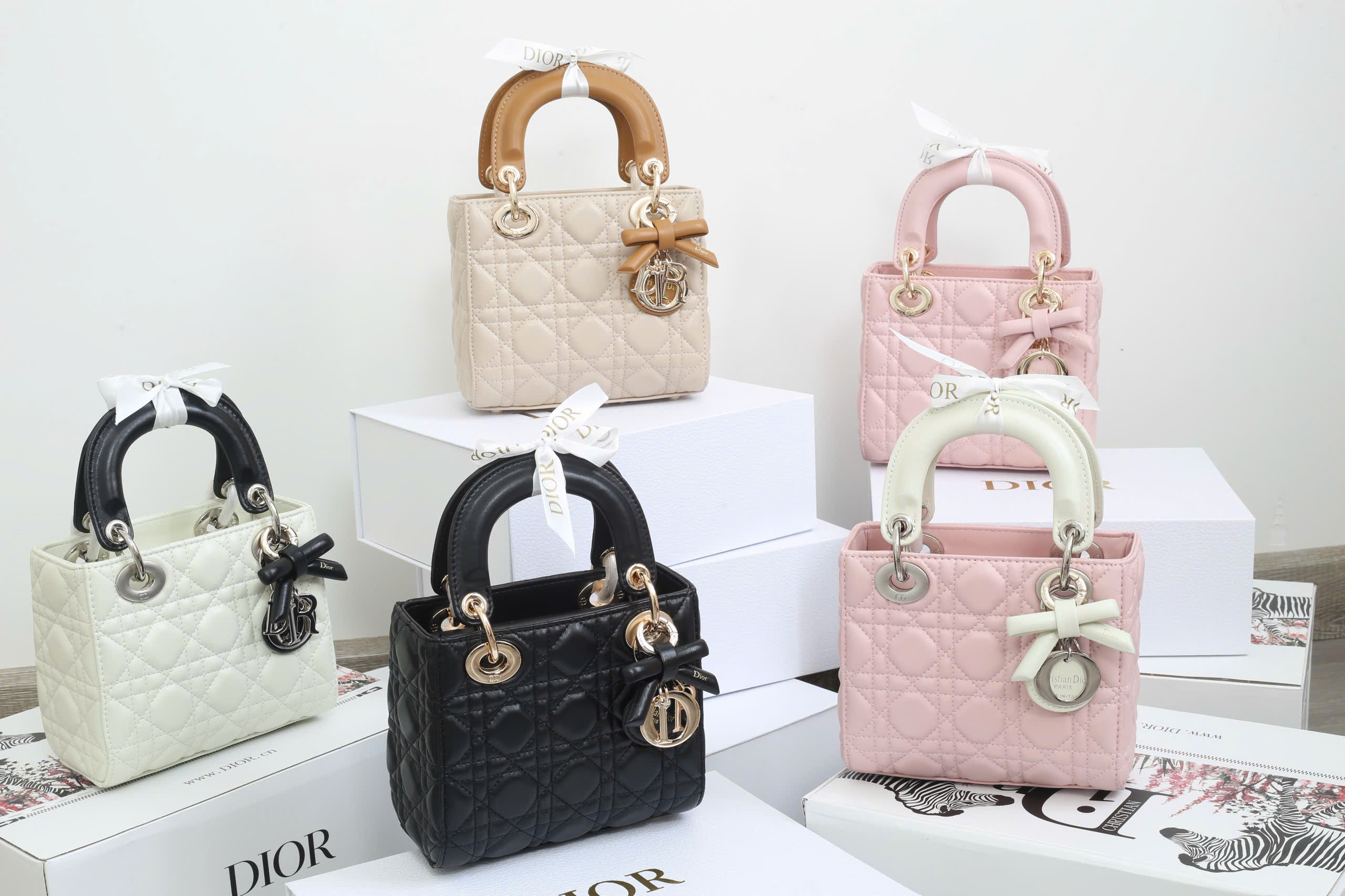 DIOR  CHARM NƠ NEW