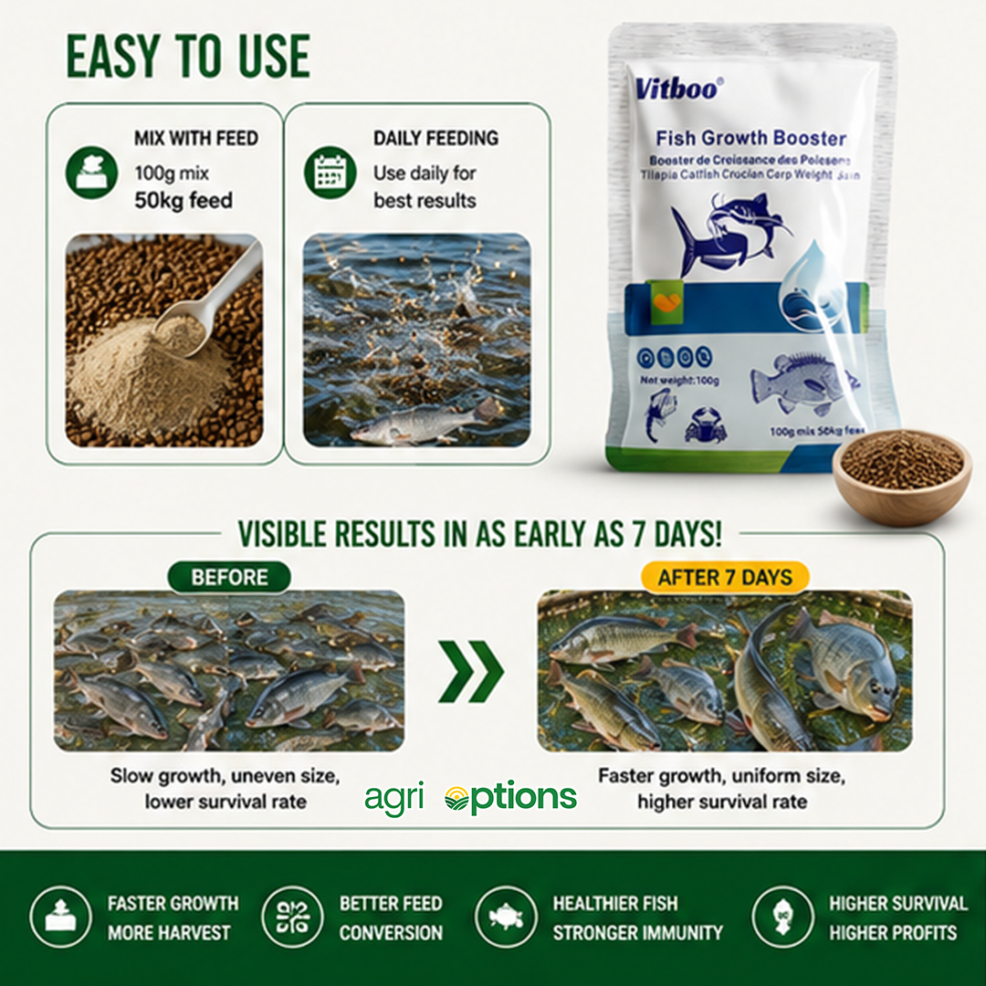 Vitboo Fish Growth Booster_thumbnail_6