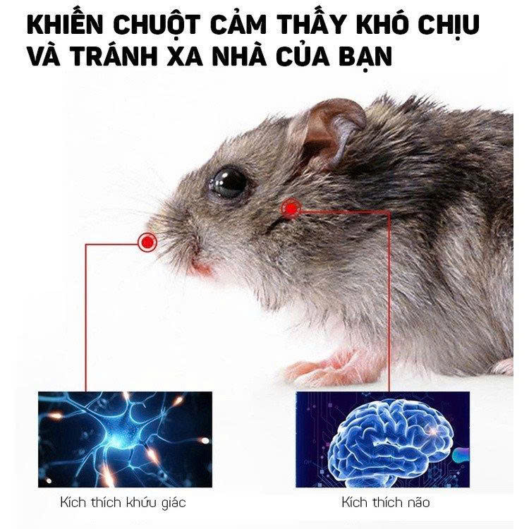 Sáp Đuổi Chuột Cao Cấp Cho Xe Điện & Ô Tô 200g Thảo Mộc_thumbnail_5