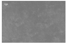 Thảm trải sàn polyester vân vàng 60x40cm TEWA, 80021