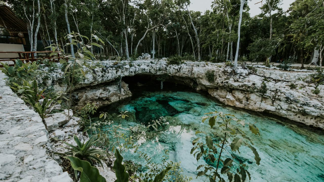 Xplor_thumbnail_2