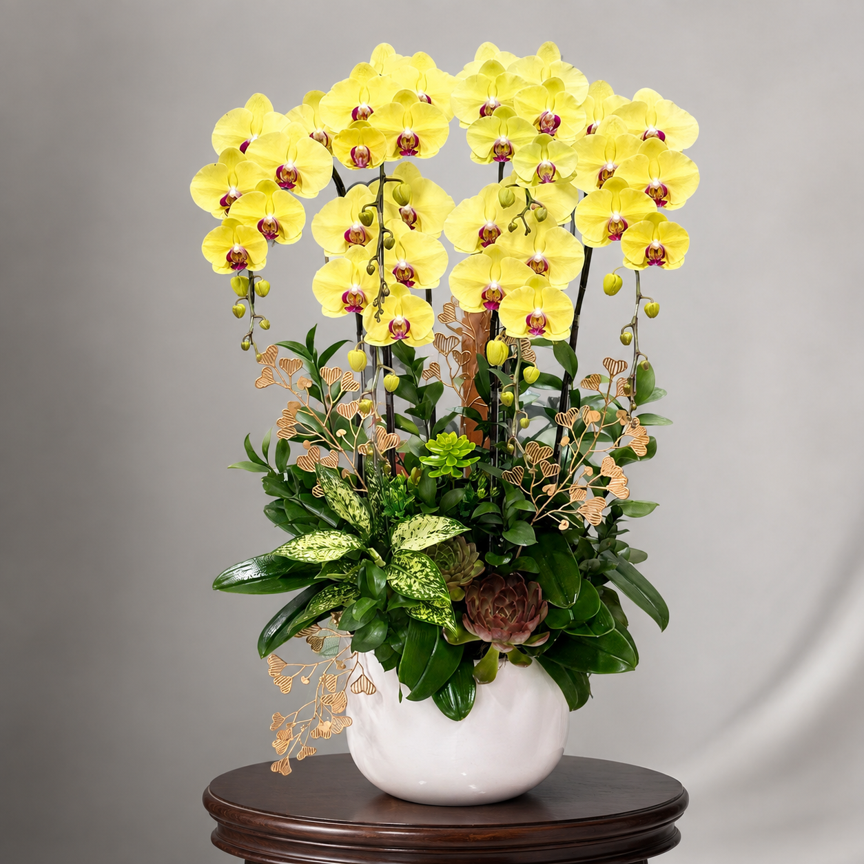 🌺Chậu 6 Cây Lan Hồ Điệp Vàng – Biểu Tượng Của Phú Quý, Tài Lộc Và Thịnh Vượng