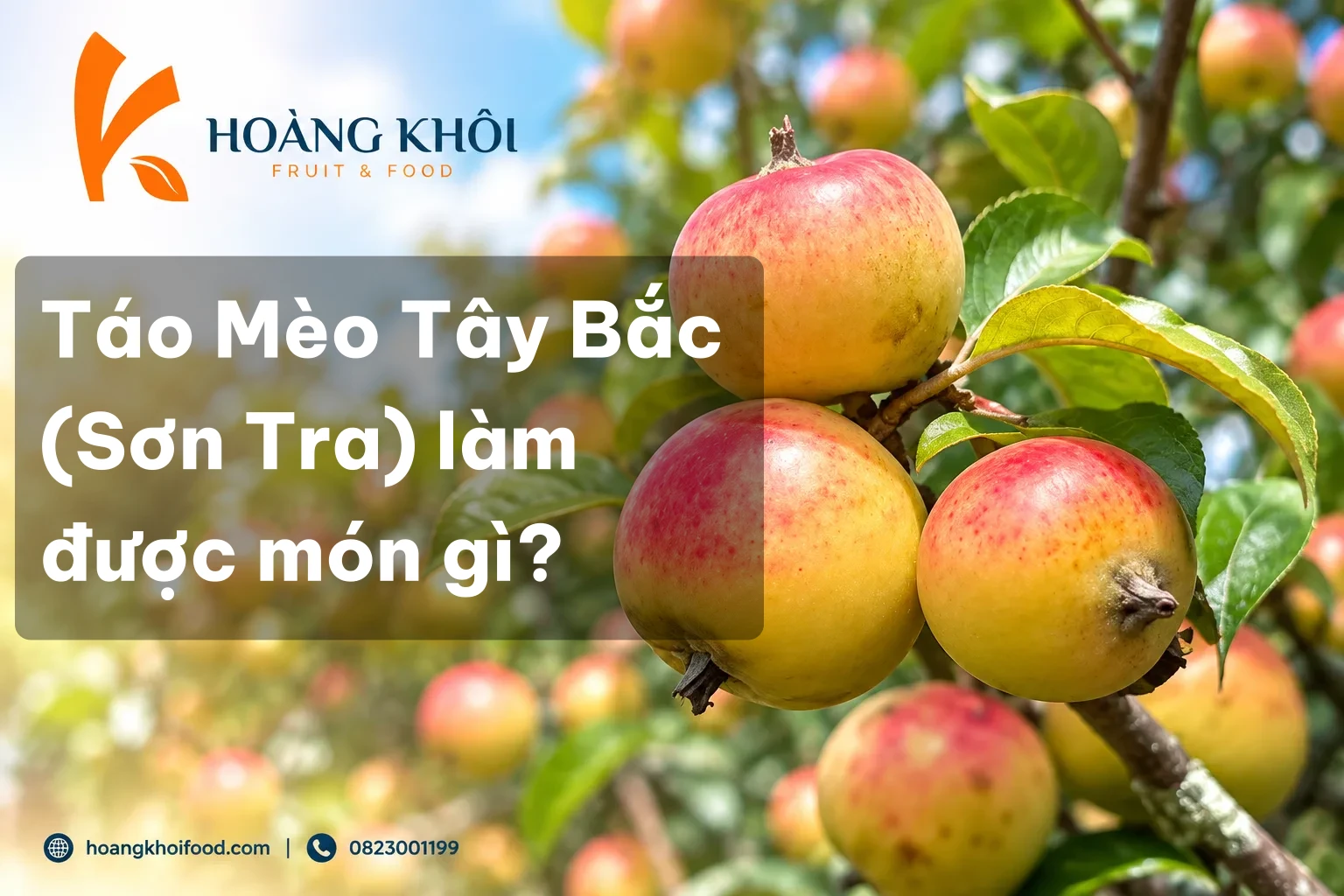 Táo Mèo Tây Bắc (Sơn Tra) làm được món gì?