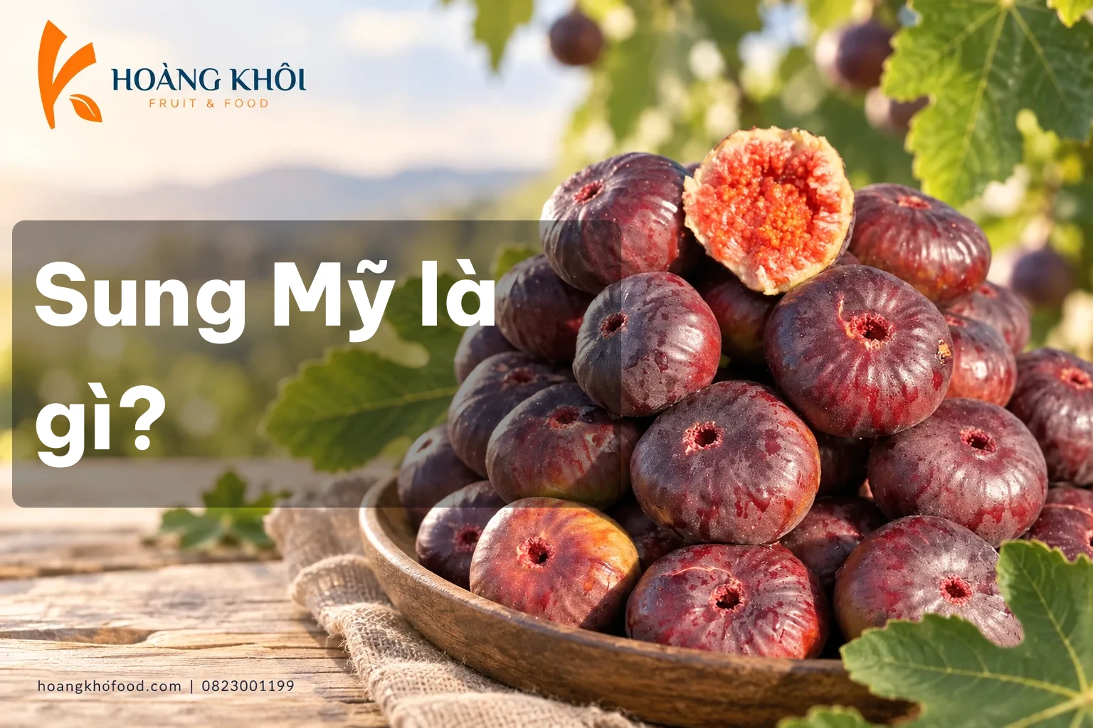 Sung Mỹ là gì?