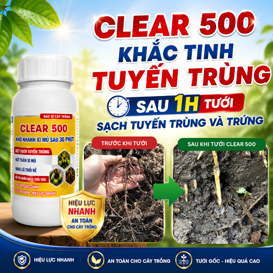 CLEAR 500_thumbnail_3