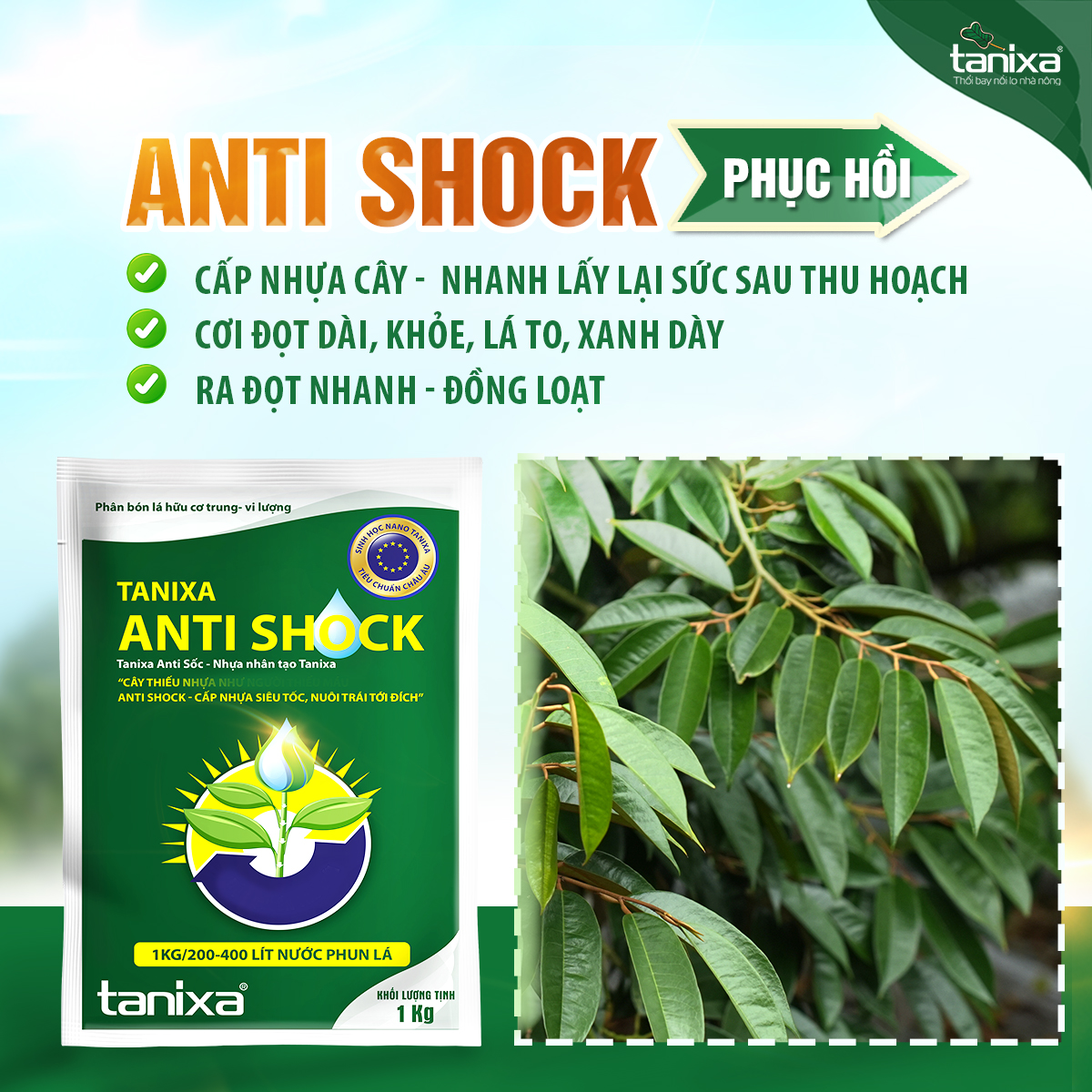 Tanixa Anti Shock túi 1kg New_thumbnail_3