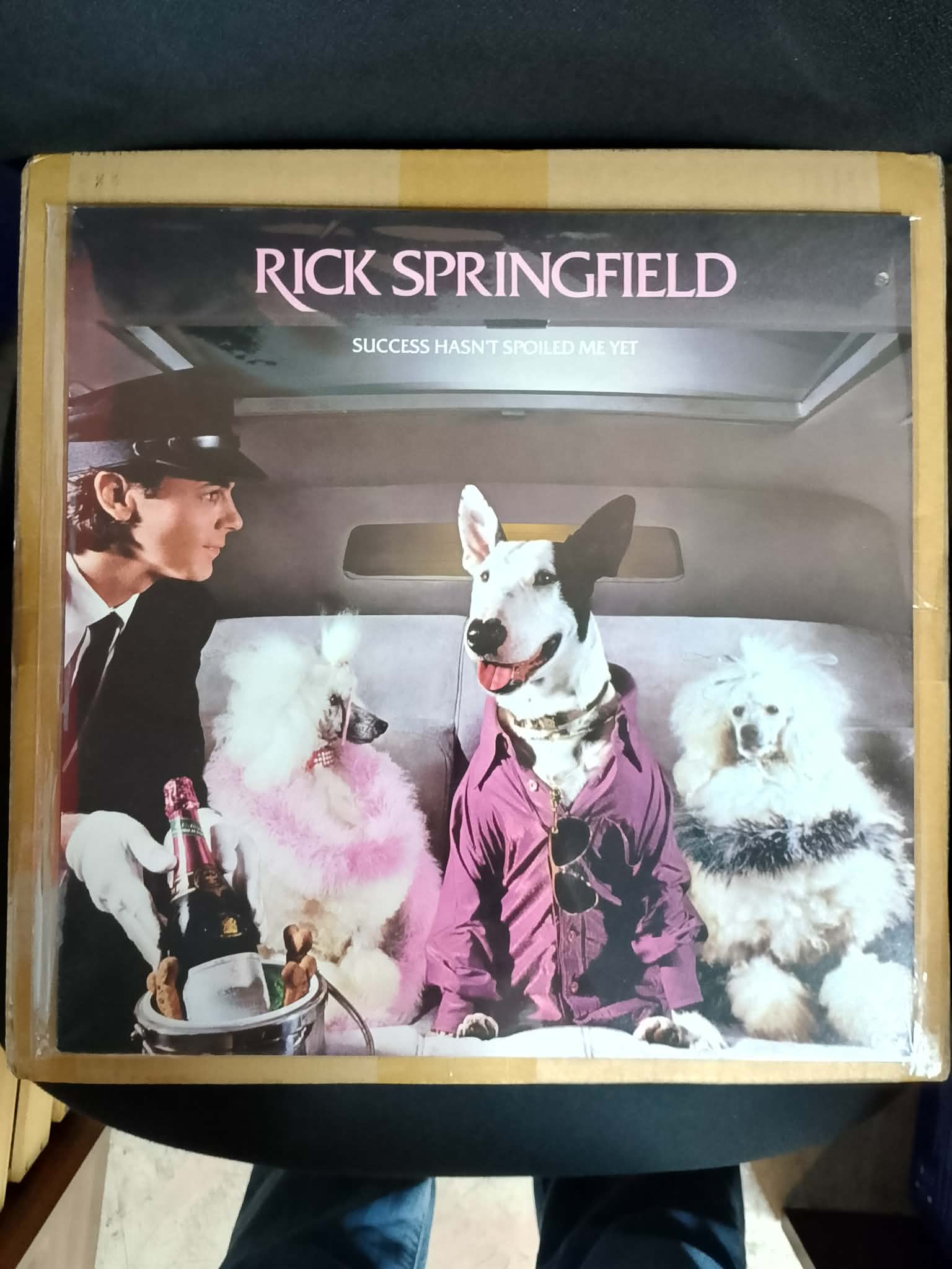 RICK SPRINGFIELD - SUCCESS HASN'T SPOILED ME YET _thumbnail_1