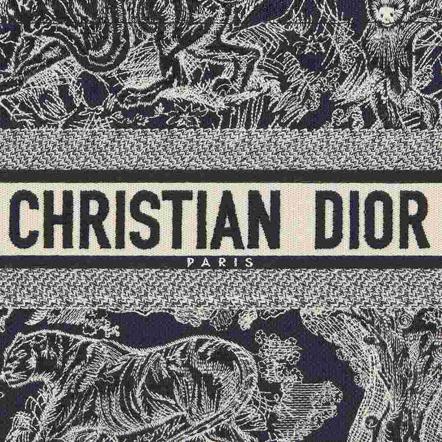 Dior Book Tote Blue _thumbnail_4