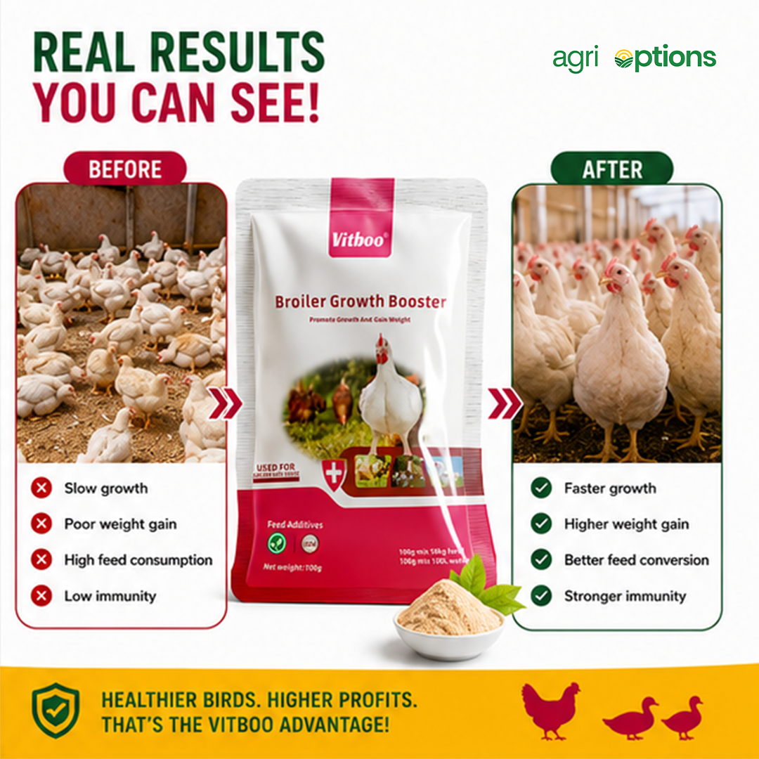 Vitboo Broiler Growth Booster_thumbnail_2