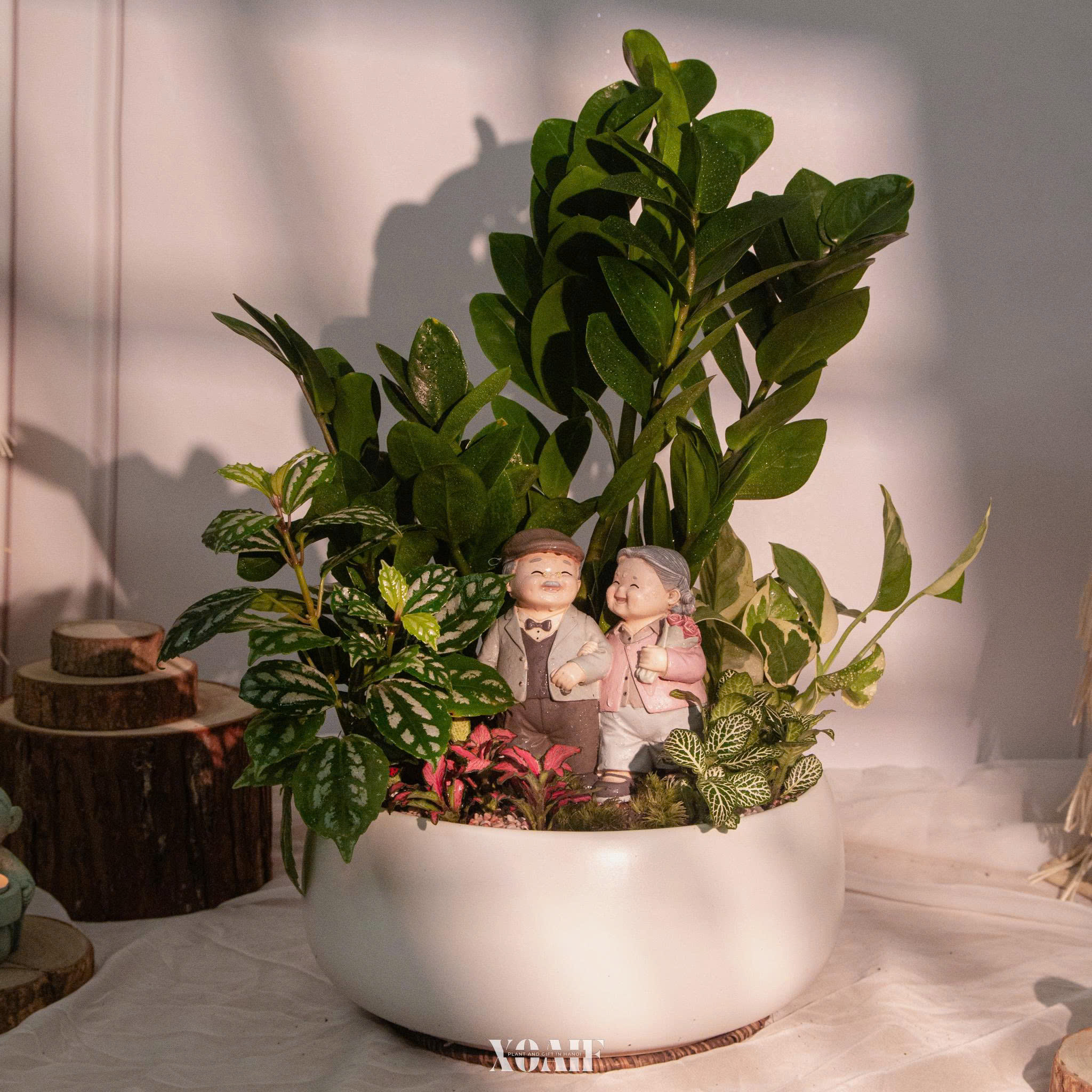 SET MIX KIM TIỀN TƯỢNG ÔNG BÀ _thumbnail_2