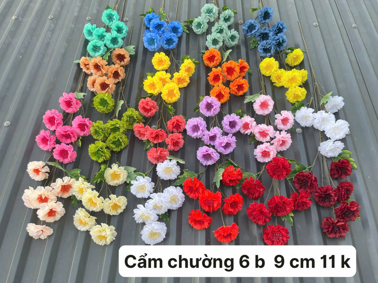 Cẩm chướng 6 b 11 k_thumbnail_2