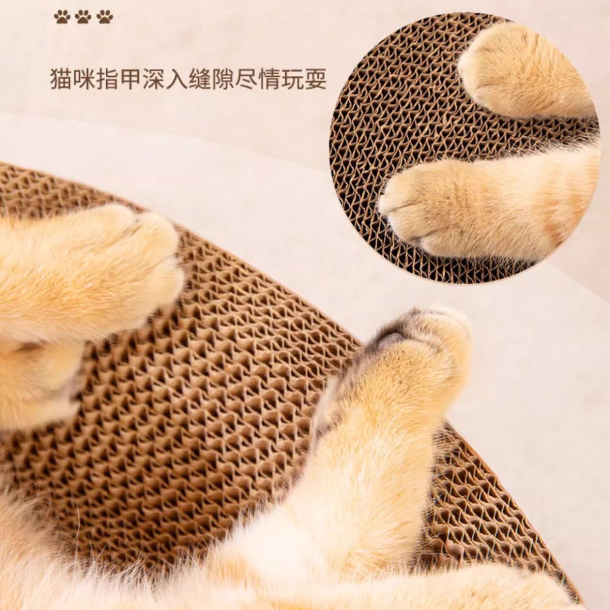 Bàn cào móng tròn cho mèo_thumbnail_5