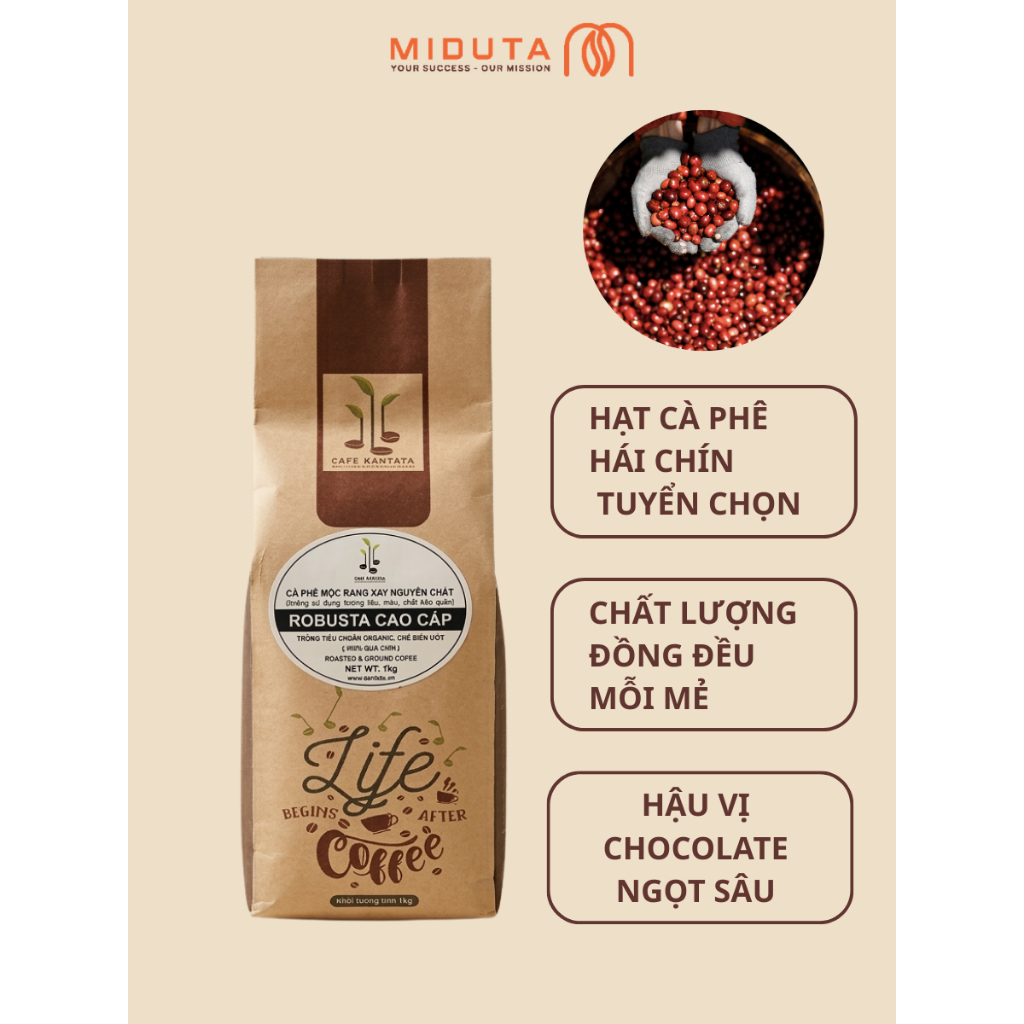 Robusta cao cấp_thumbnail_1
