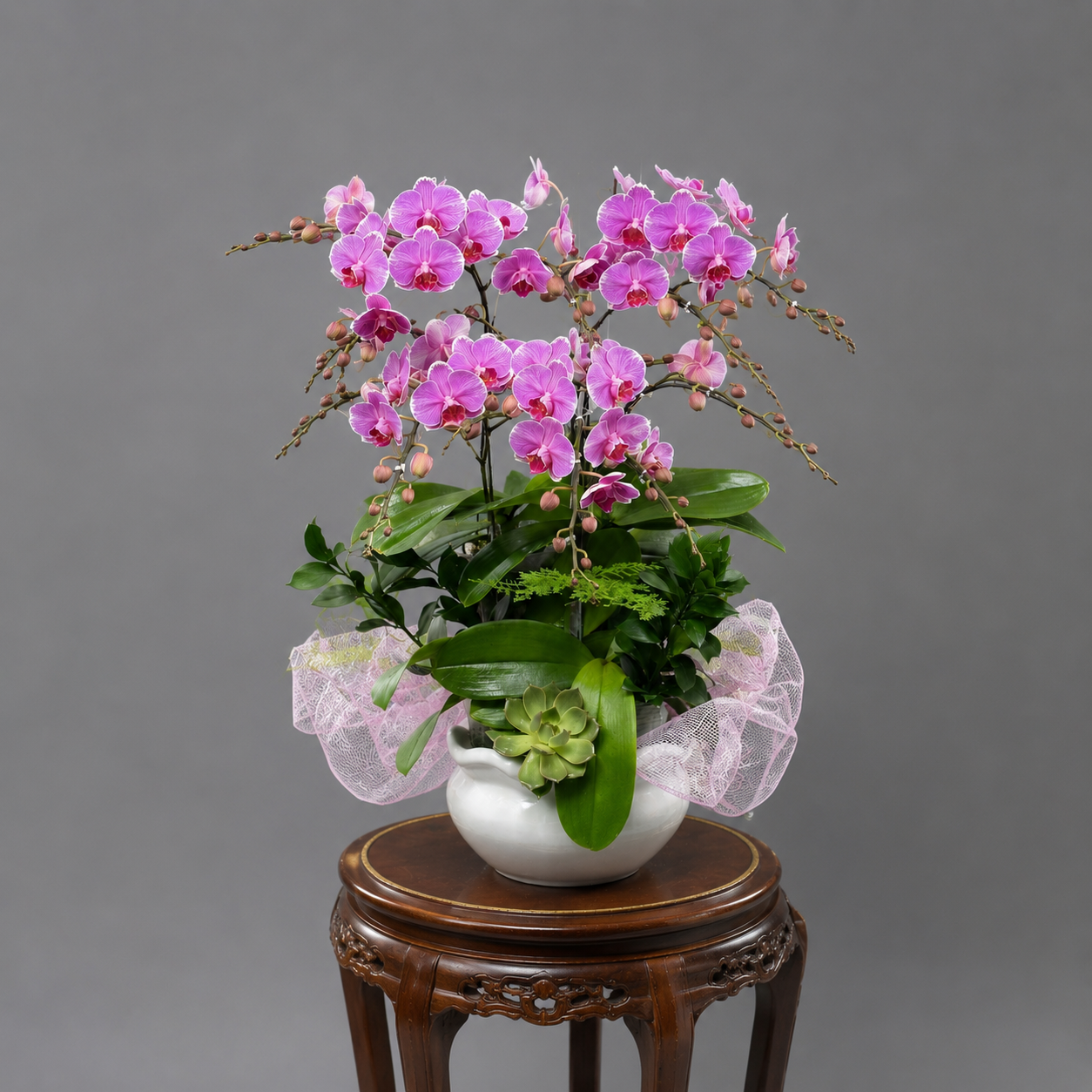 ✨Chậu Lan Hồ Điệp Mini Hồng 4 Cành – Nhẹ Nhàng Thanh Lịch, Điểm Nhấn Hoàn Hảo Cho Không Gian Sống